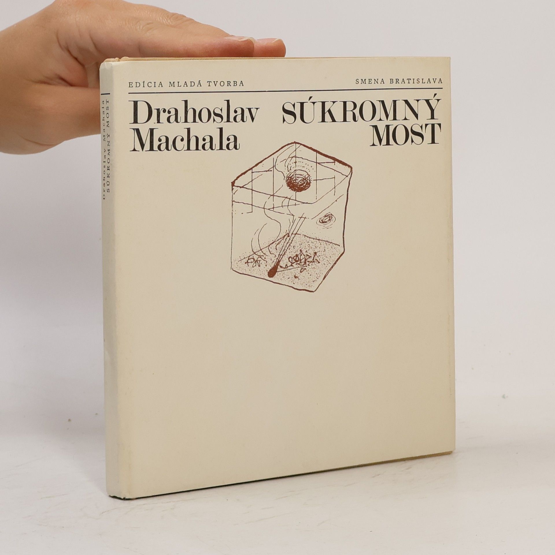 Drahoslav Machala Súkromný most
