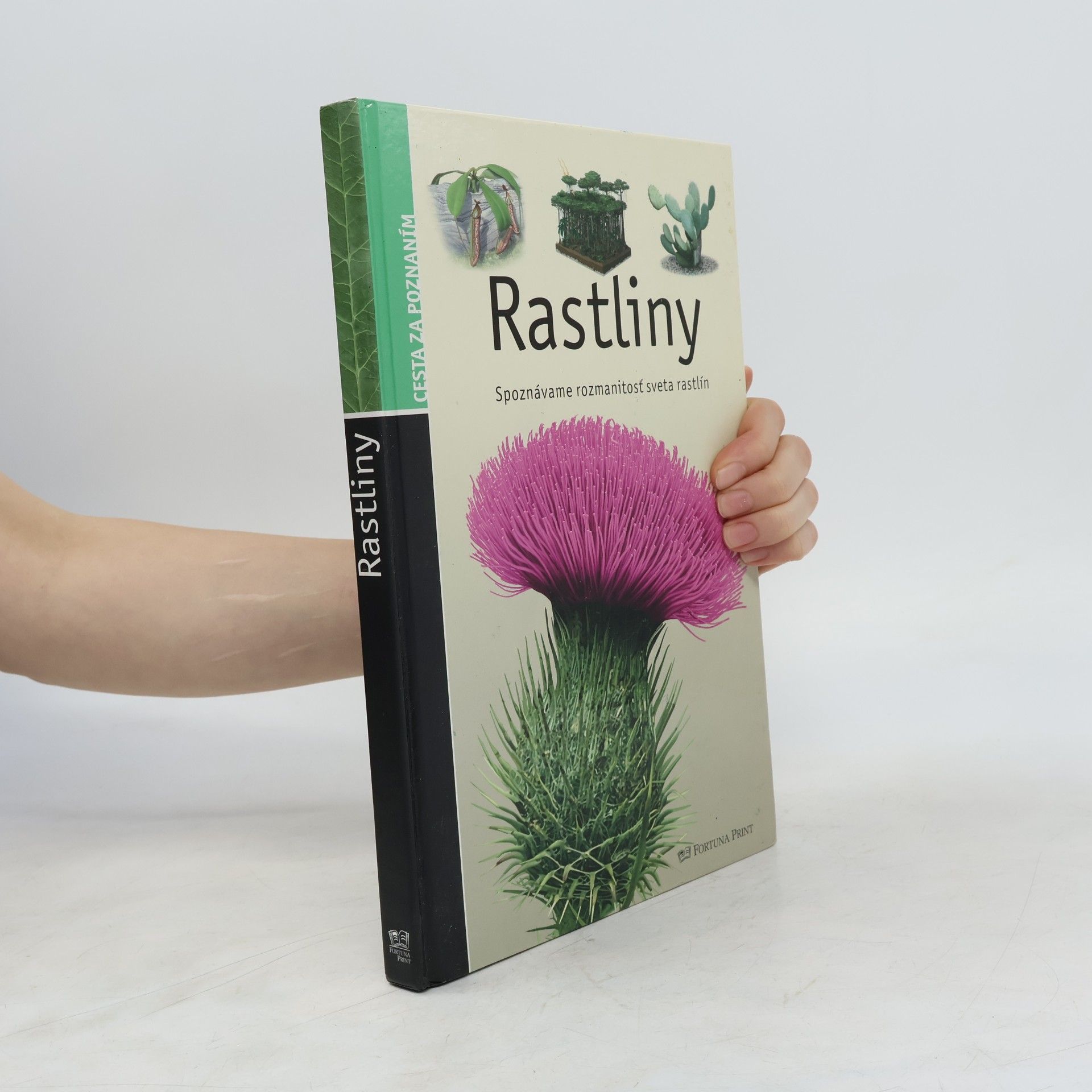 Stéphane Batigne Rastliny (Spoznávame rozmanitosť sveta rastlín