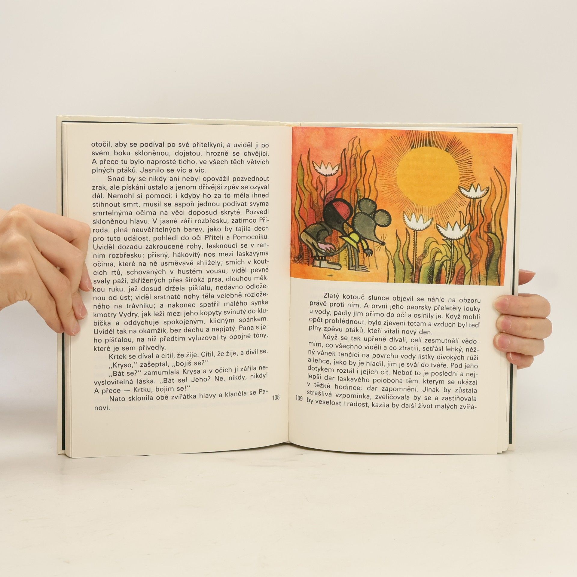 Kenneth Grahame Žabákova dobrodružství