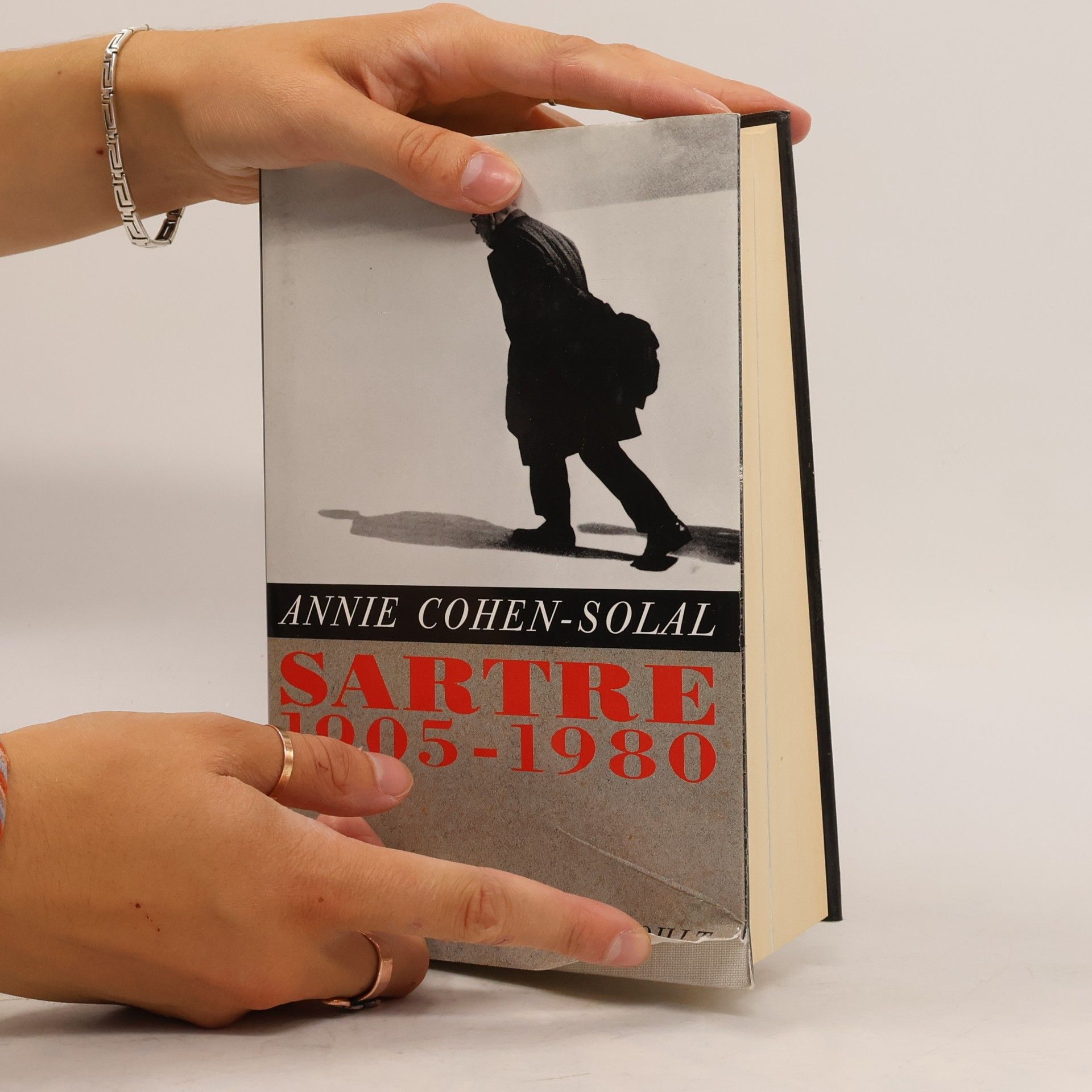 Annie Cohen-Solal Sartre
