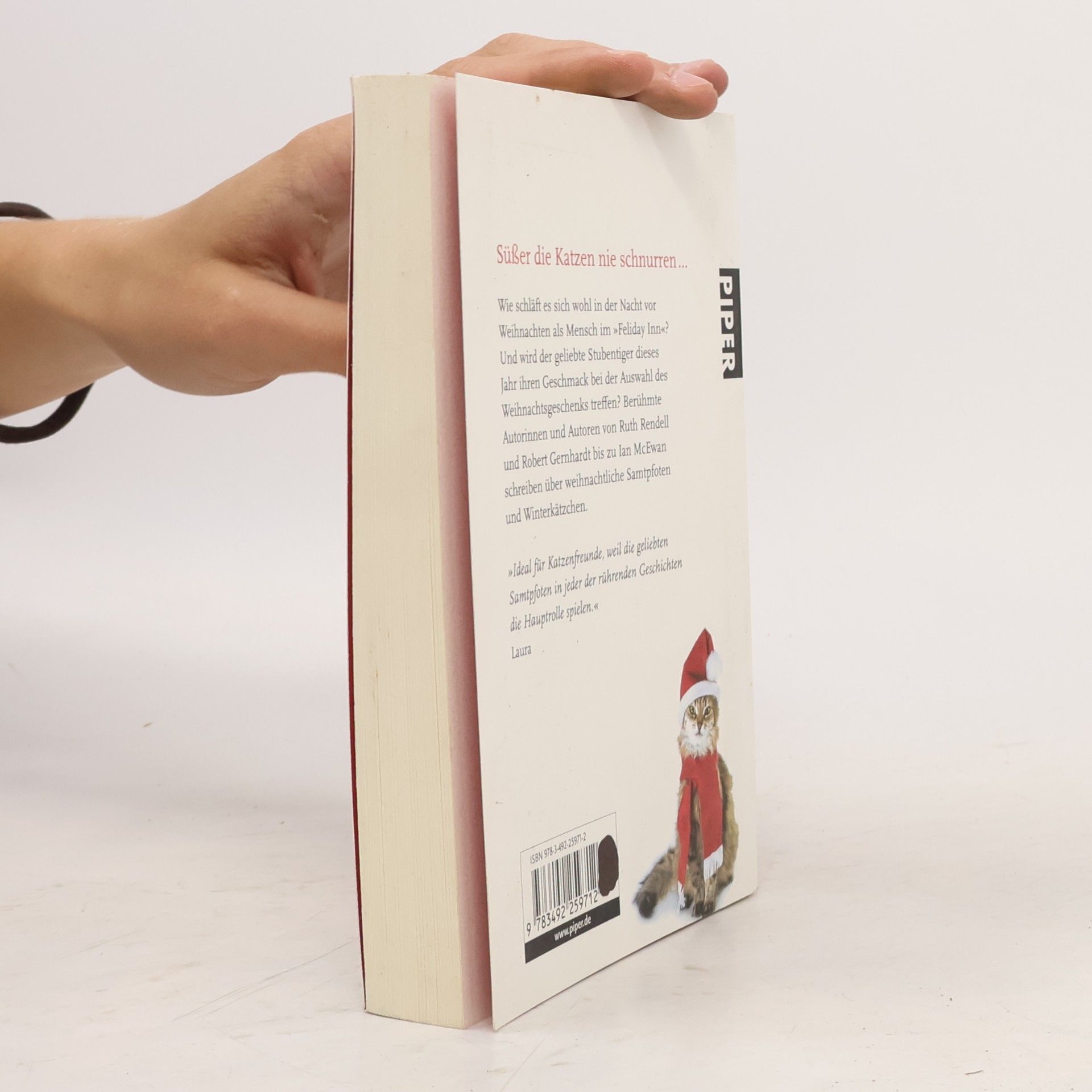Jone Heer Weihnachtskätzchen