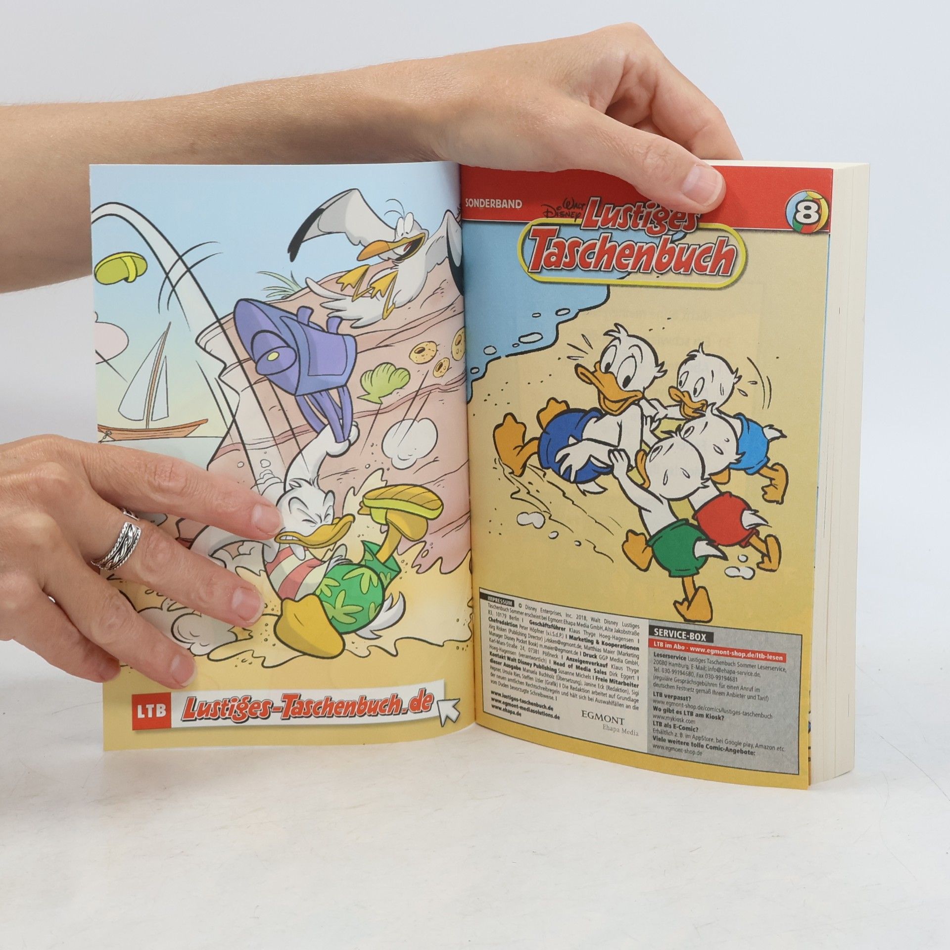 Walt Disney Lustiges Taschenbuch 8. Sommergeschichten