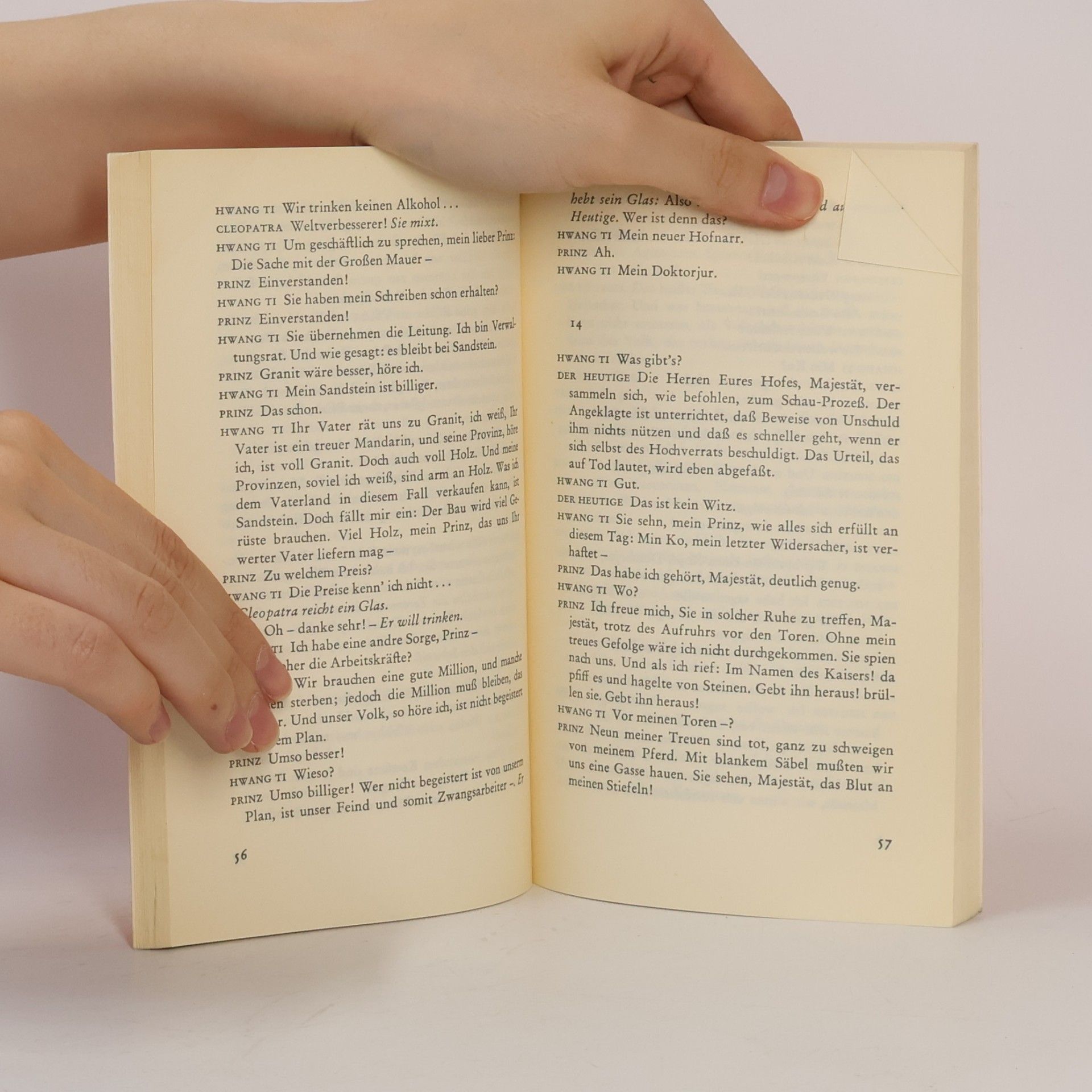 Max Frisch Die Chinesische Mauer