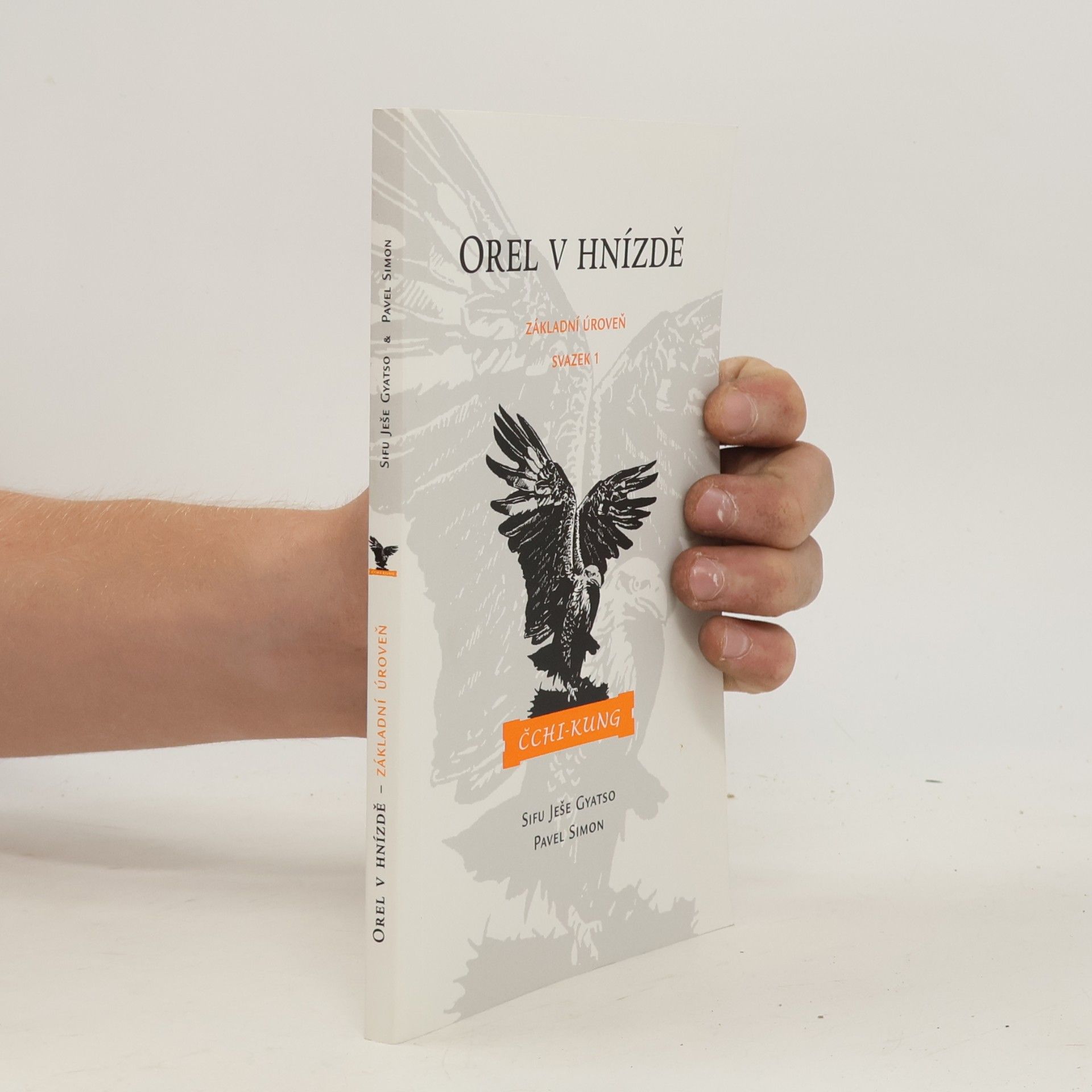 Yeshe Gyatso Orel v hnízdě : základní úroveň : Čchi-kung