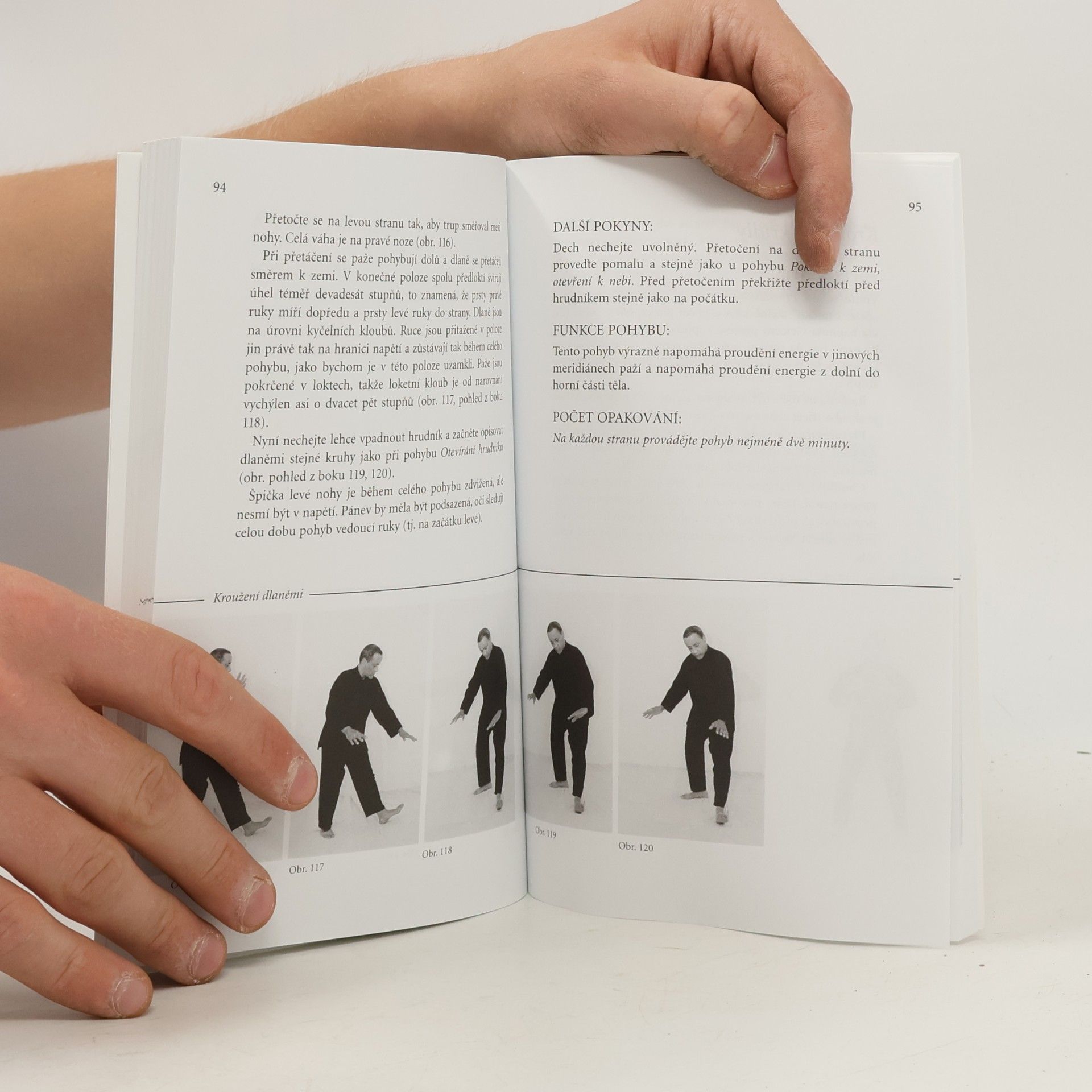 Yeshe Gyatso Orel v hnízdě : základní úroveň : Čchi-kung