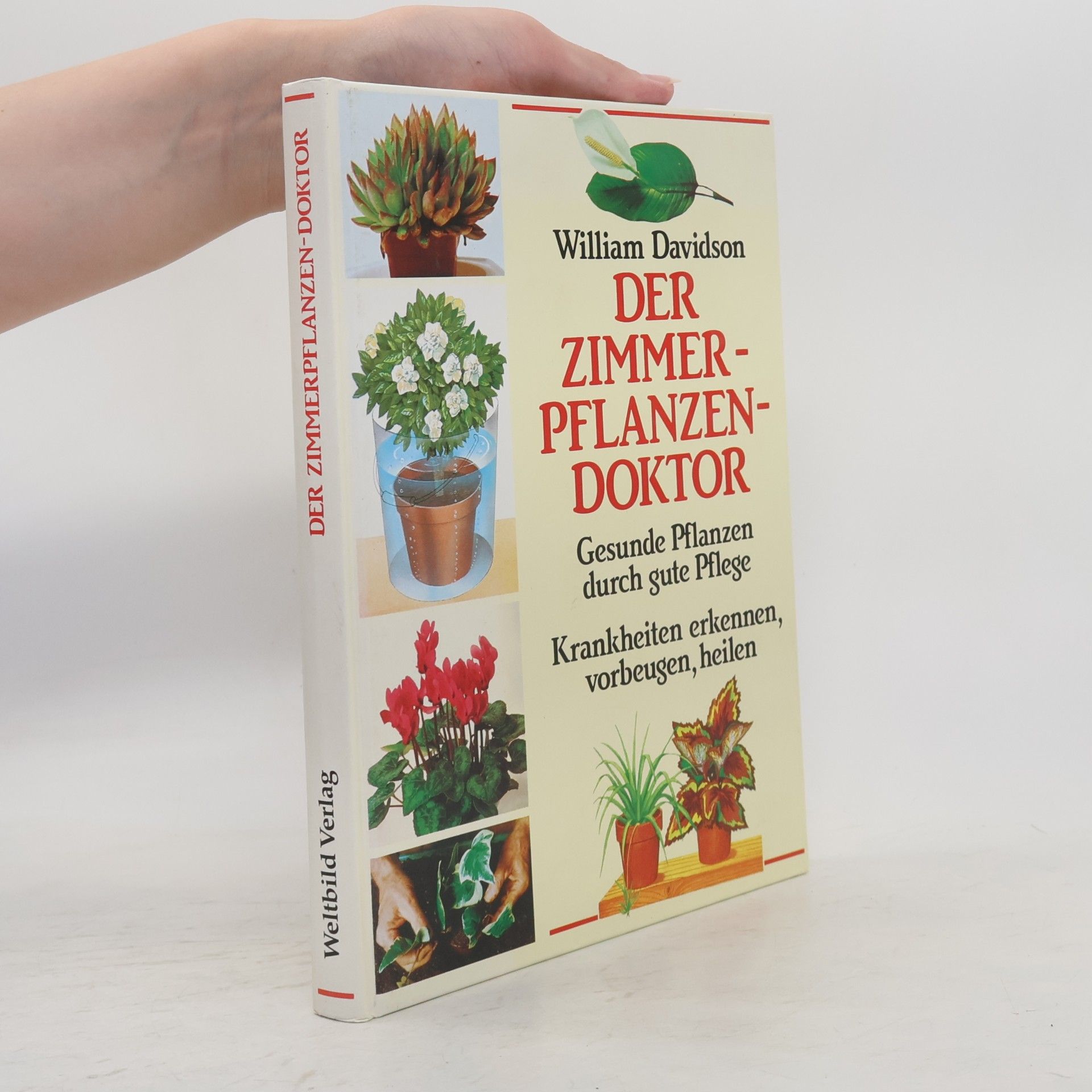 Der Zimmerpflanzendoktor