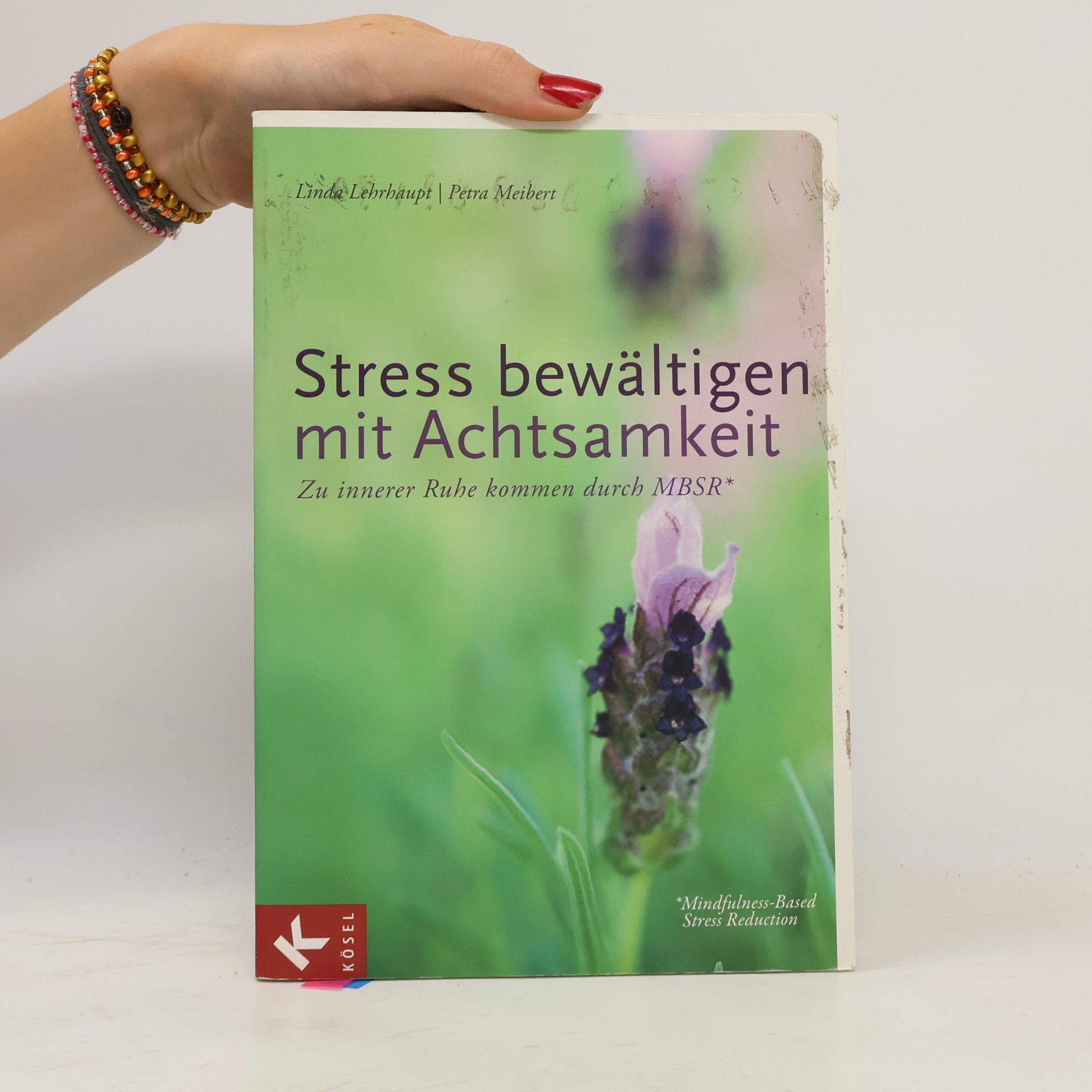 Linda Lehrhaupt Stress bewältigen mit Achtsamkeit. Zu innerer Ruhe kommen durch MBSR* - *Mindfulness-Based Stress Reduction