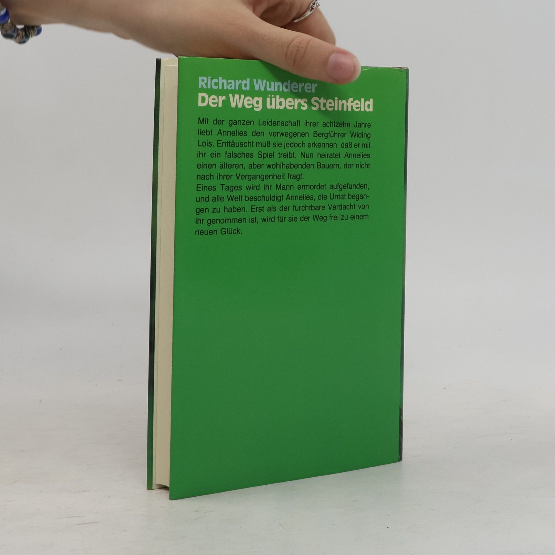 Richard Wunderer Der Weg übers Steinfeld