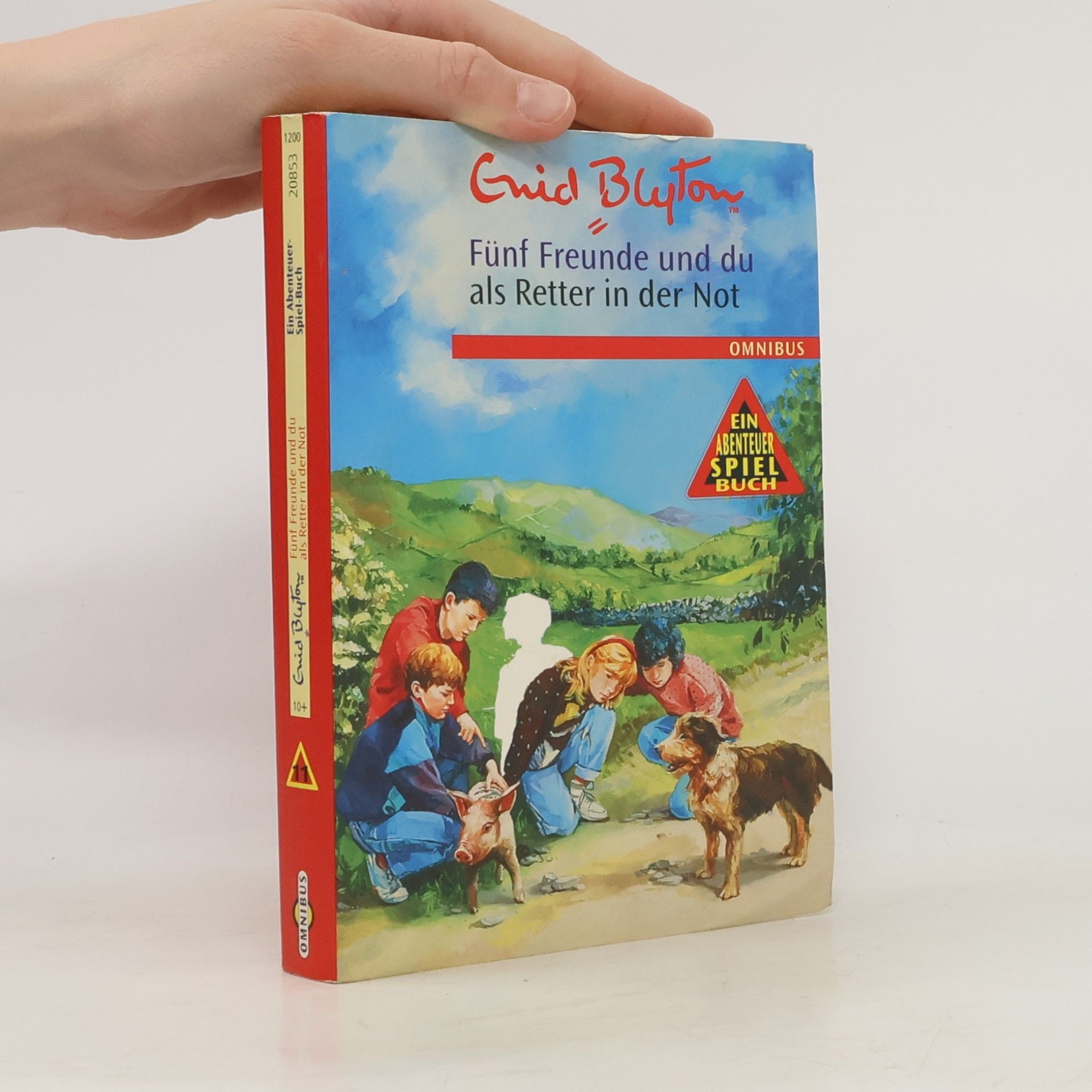 Enid Blyton Fünf Freunde und Du als Retter in der Not