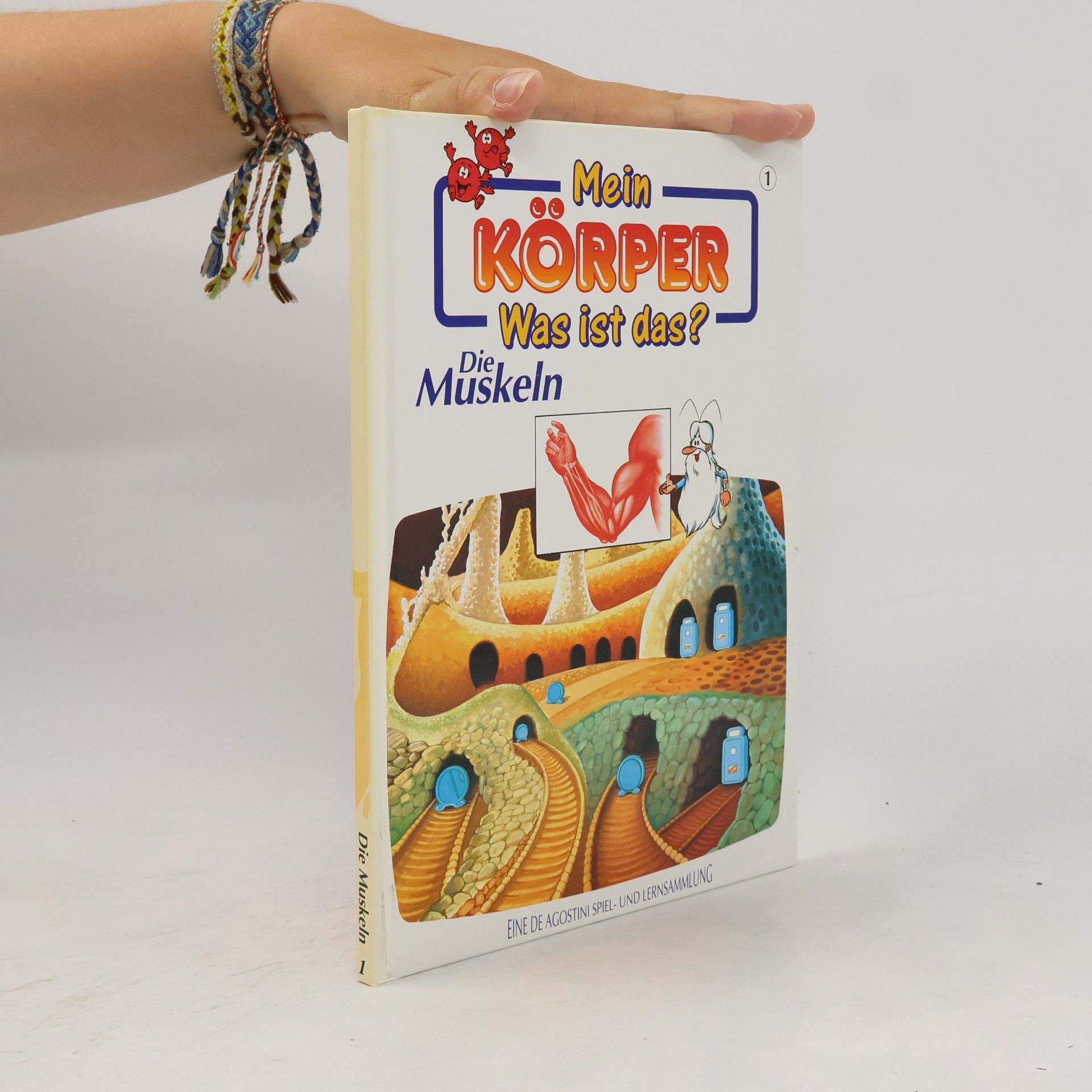 Autorenkollektiv Mein Körper. Was ist das? Die Muskeln