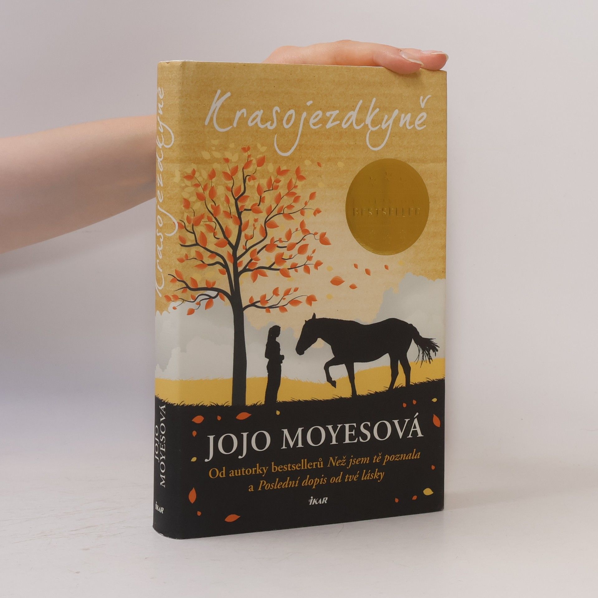 Jojo Moyes Krasojezdkyně