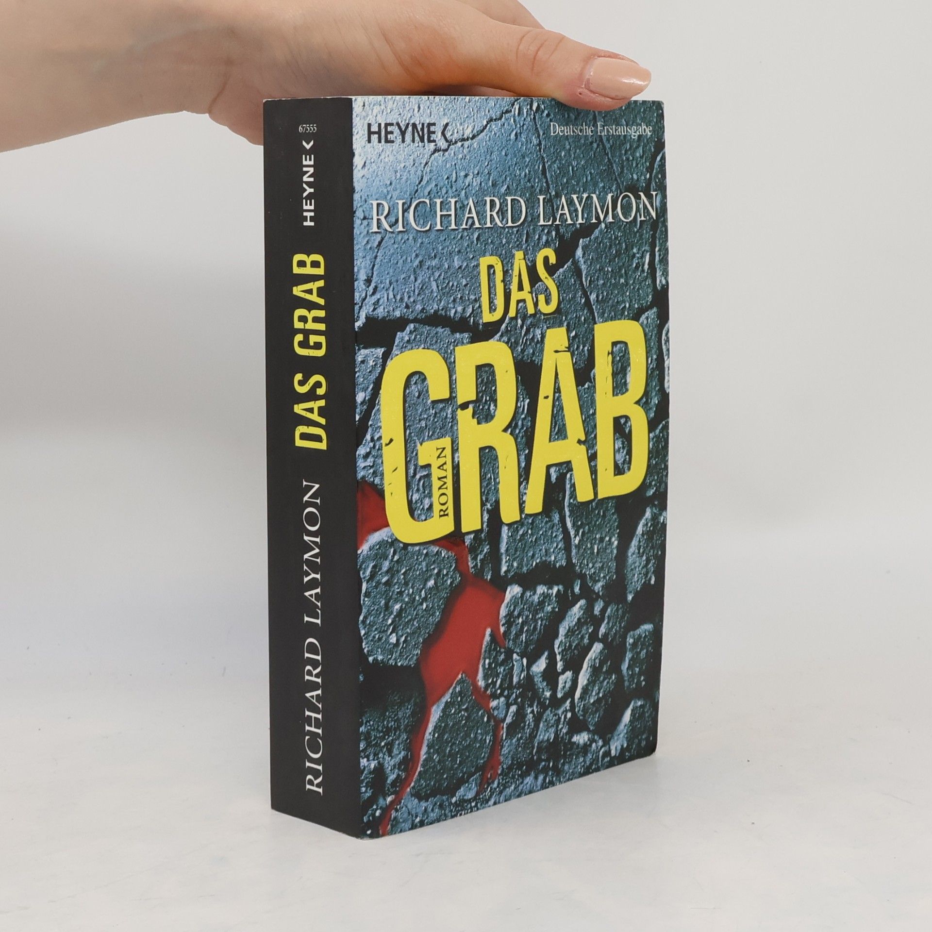 Richard Laymon Das Grab
