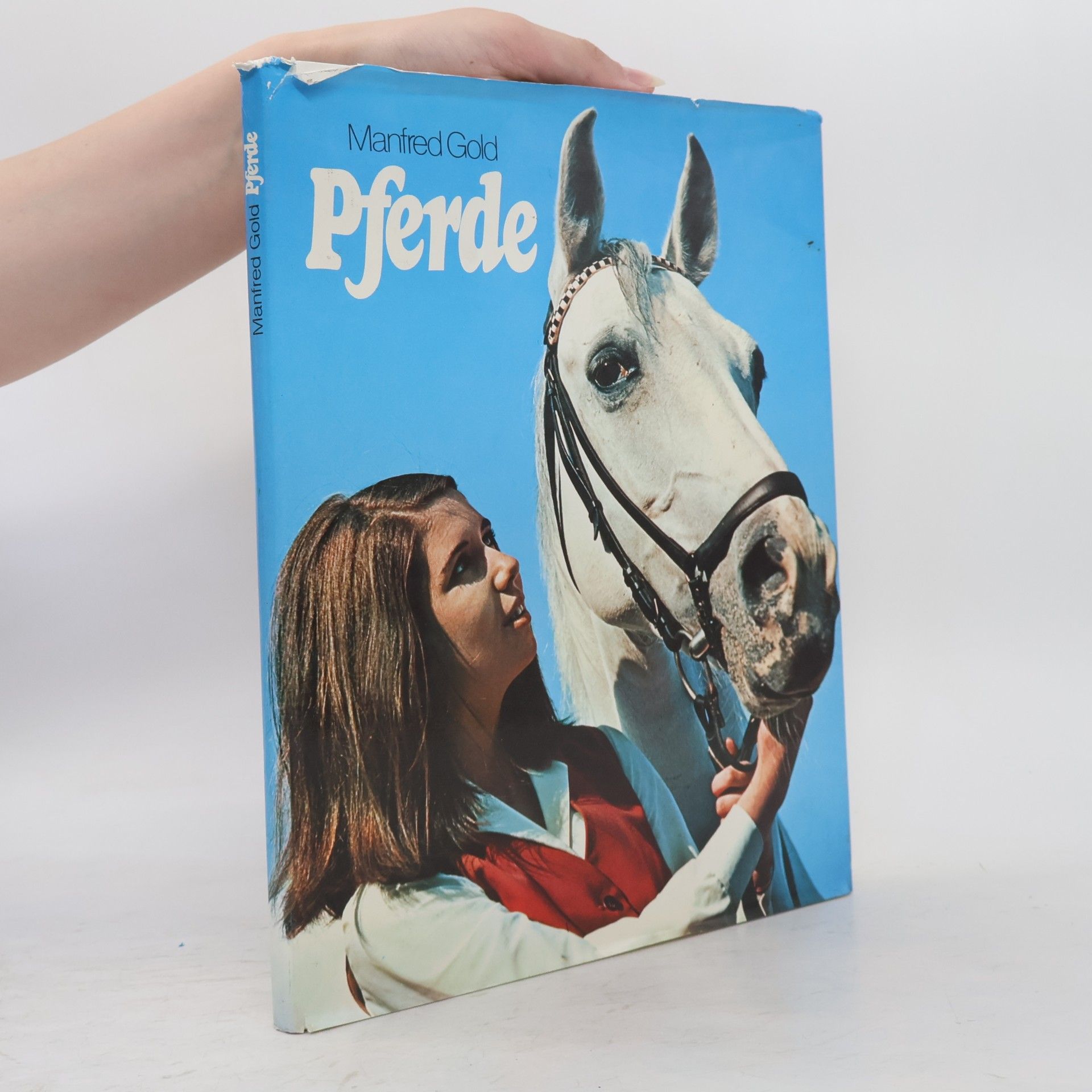 Manfred Gold Pferde