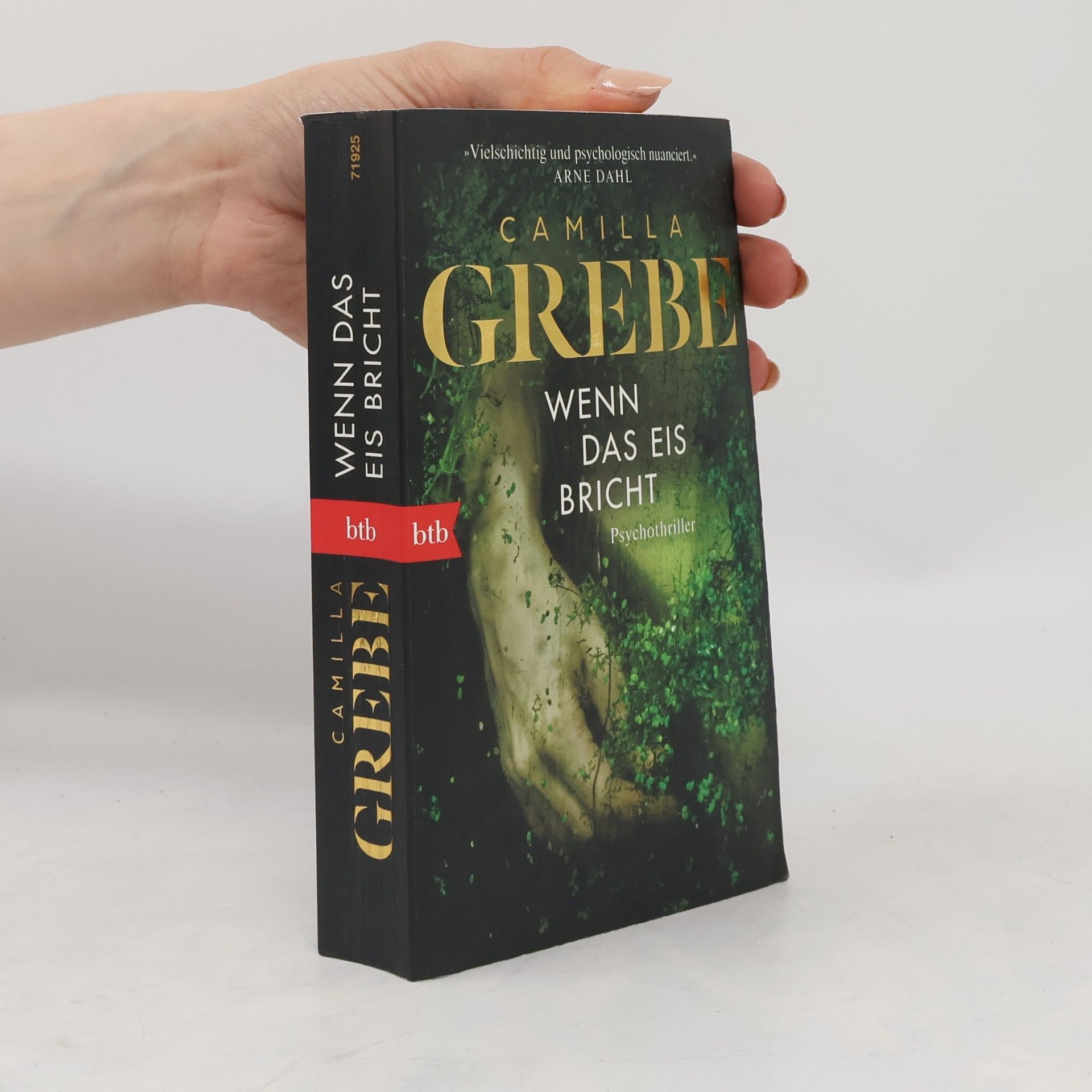 Camilla Grebe Wenn das Eis bricht