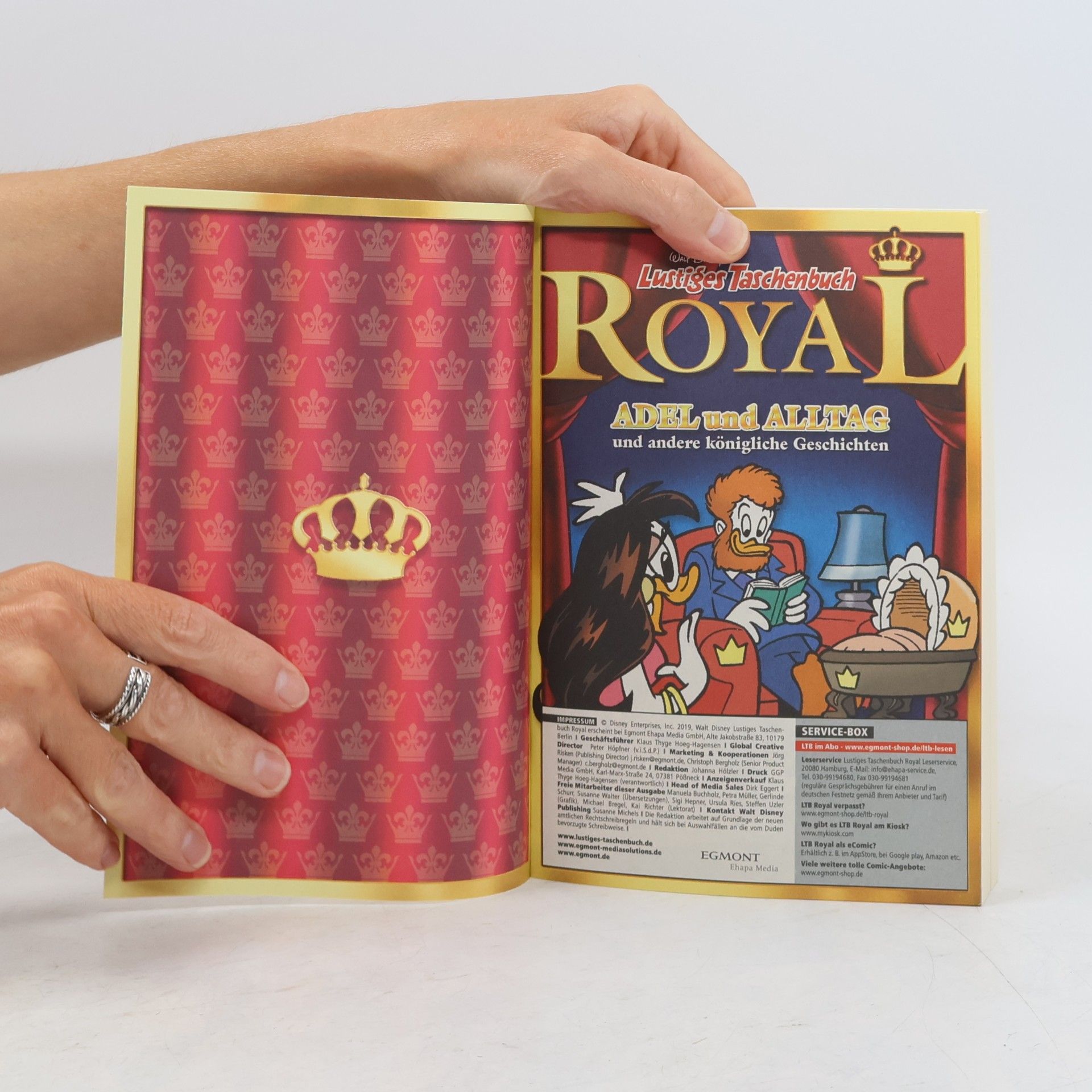 Kolektiv autorů Lustiges Taschenbuch Royal 5