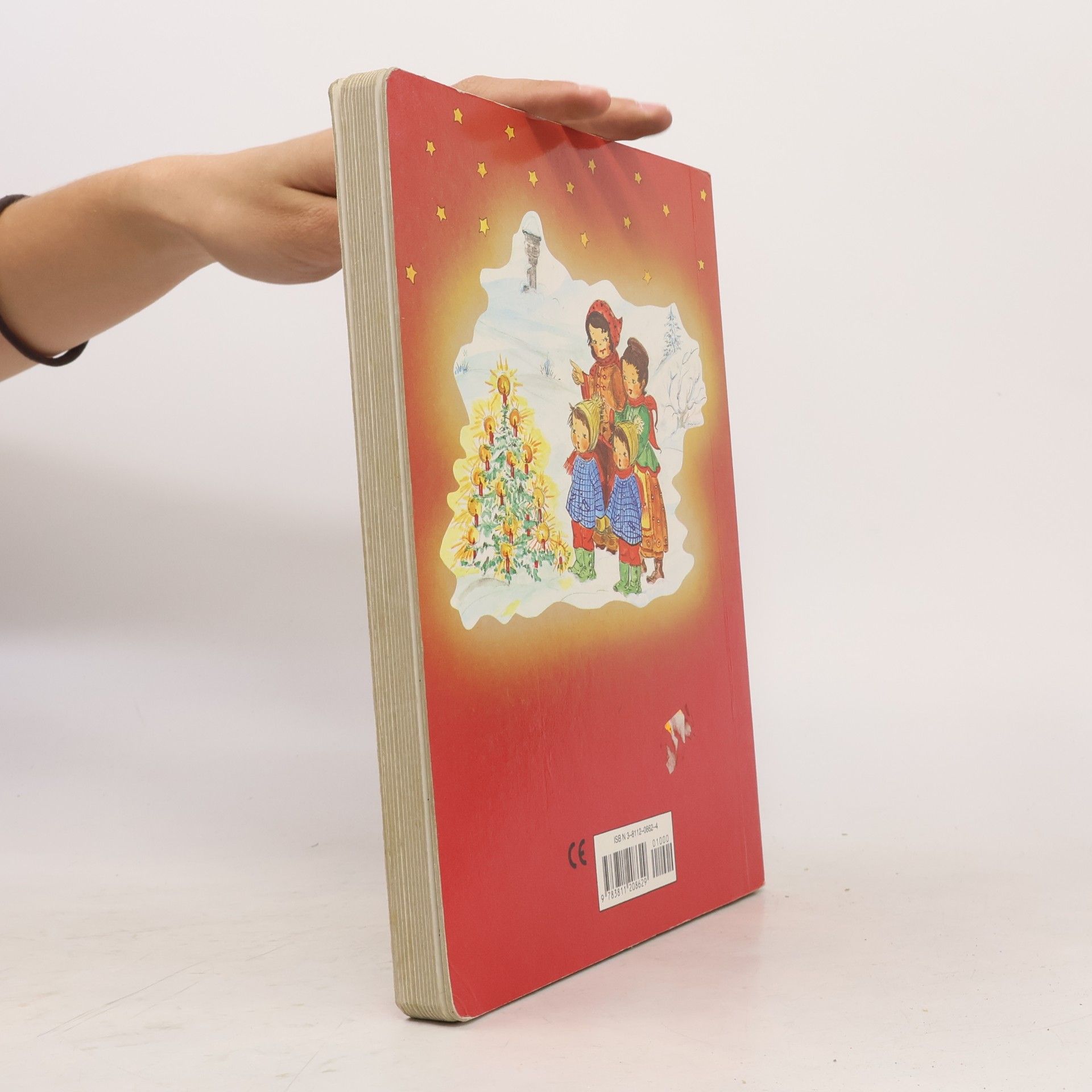Collectif d'auteurs Fröhliche Weihnachtszeit