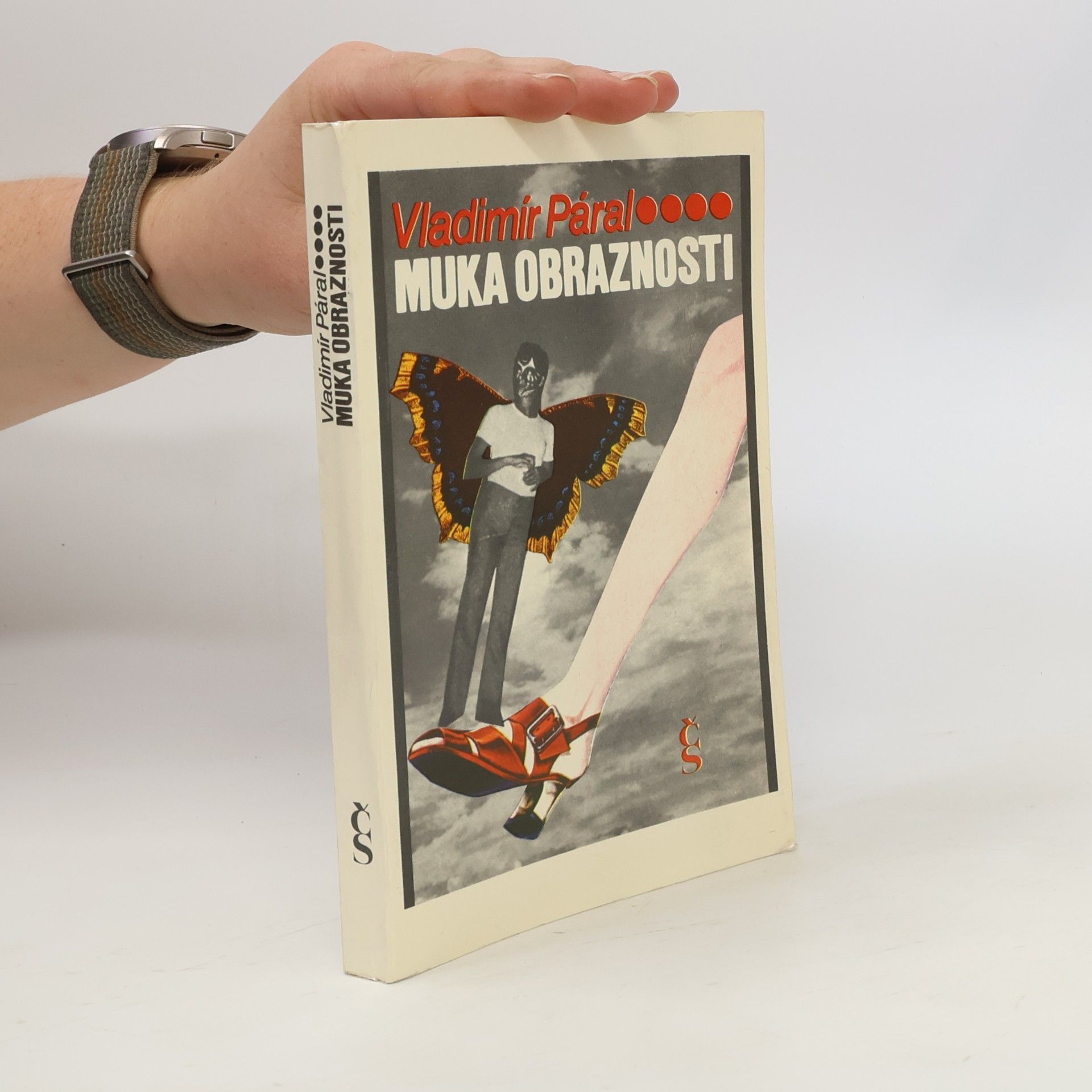 Vladimír Páral Muka obraznosti