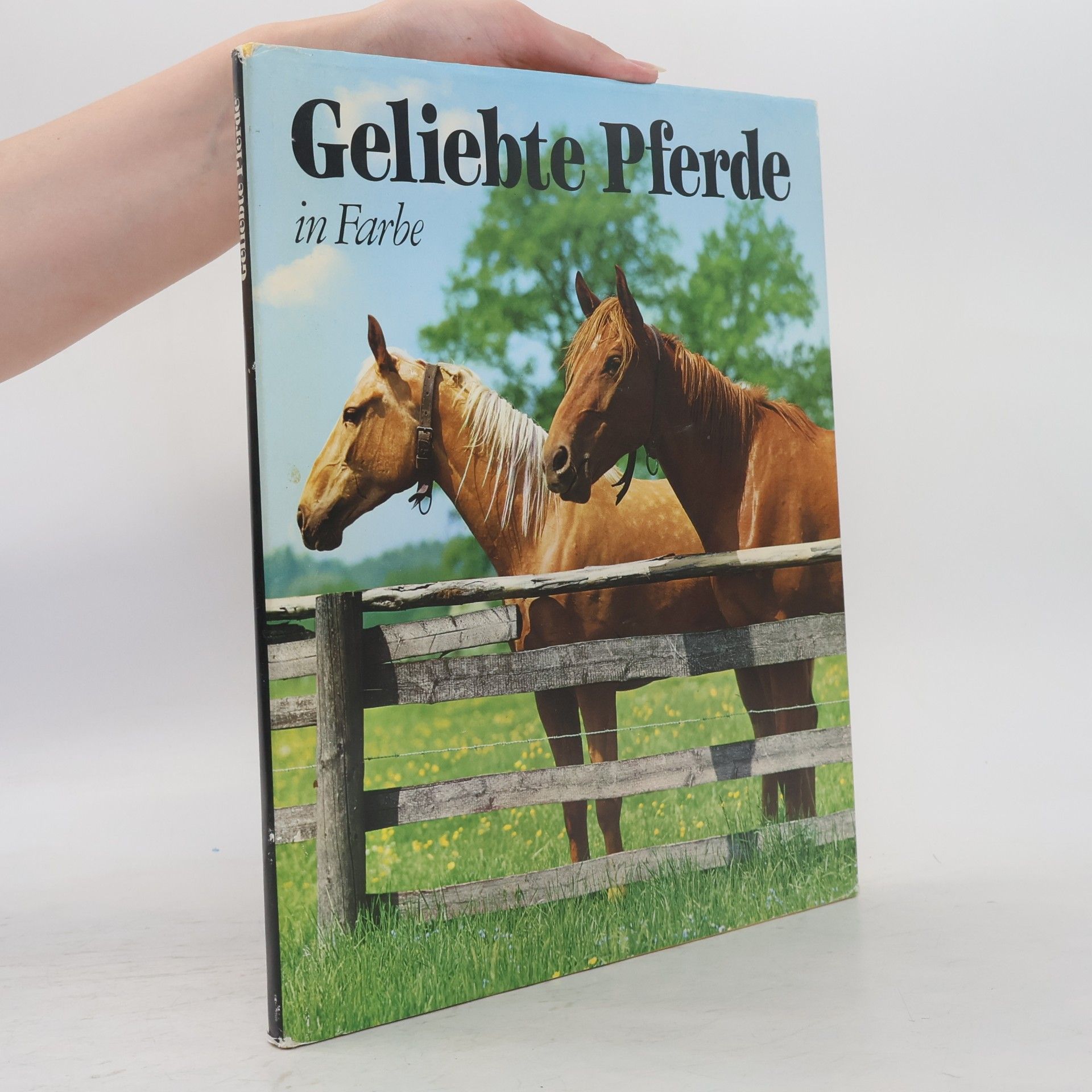 Collectif d'auteurs Geliebte Pferde in Farbe