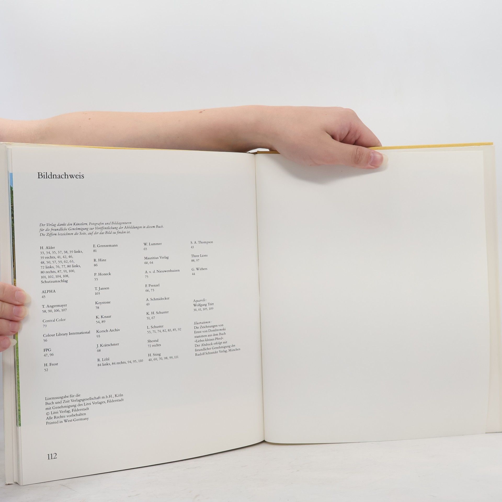 Autorenkollektiv Geliebte Pferde in Farbe
