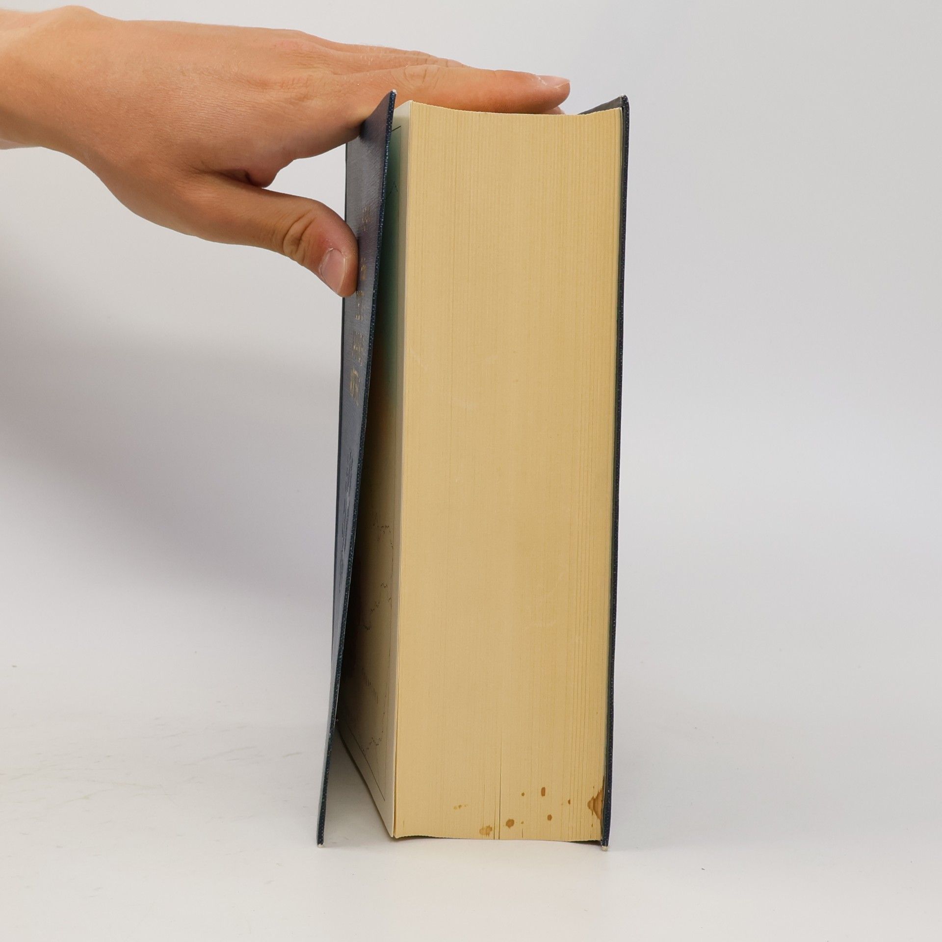 Autorenkollektiv Großes Deutsch-Japanisches Wörterbuch