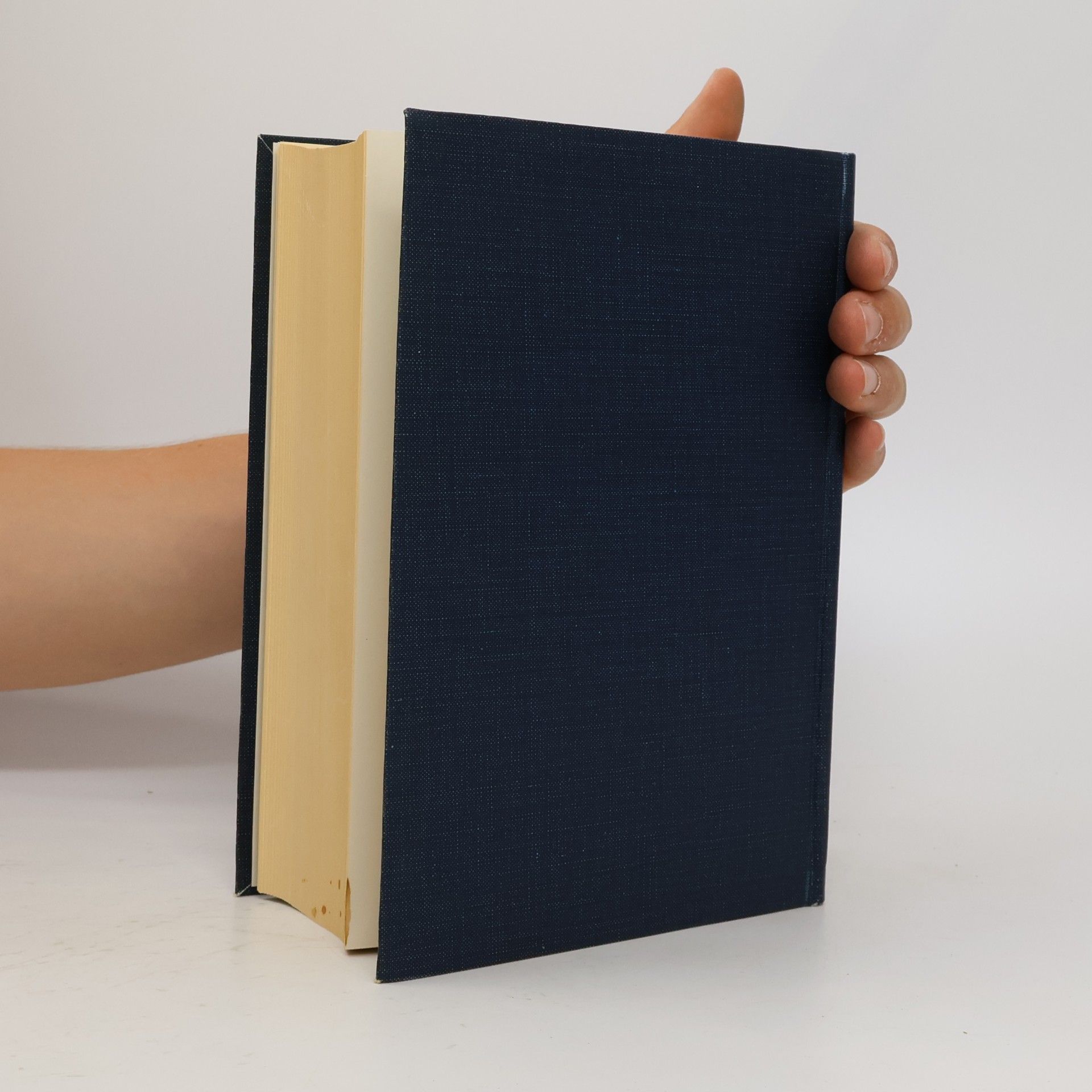 Autorenkollektiv Großes Deutsch-Japanisches Wörterbuch