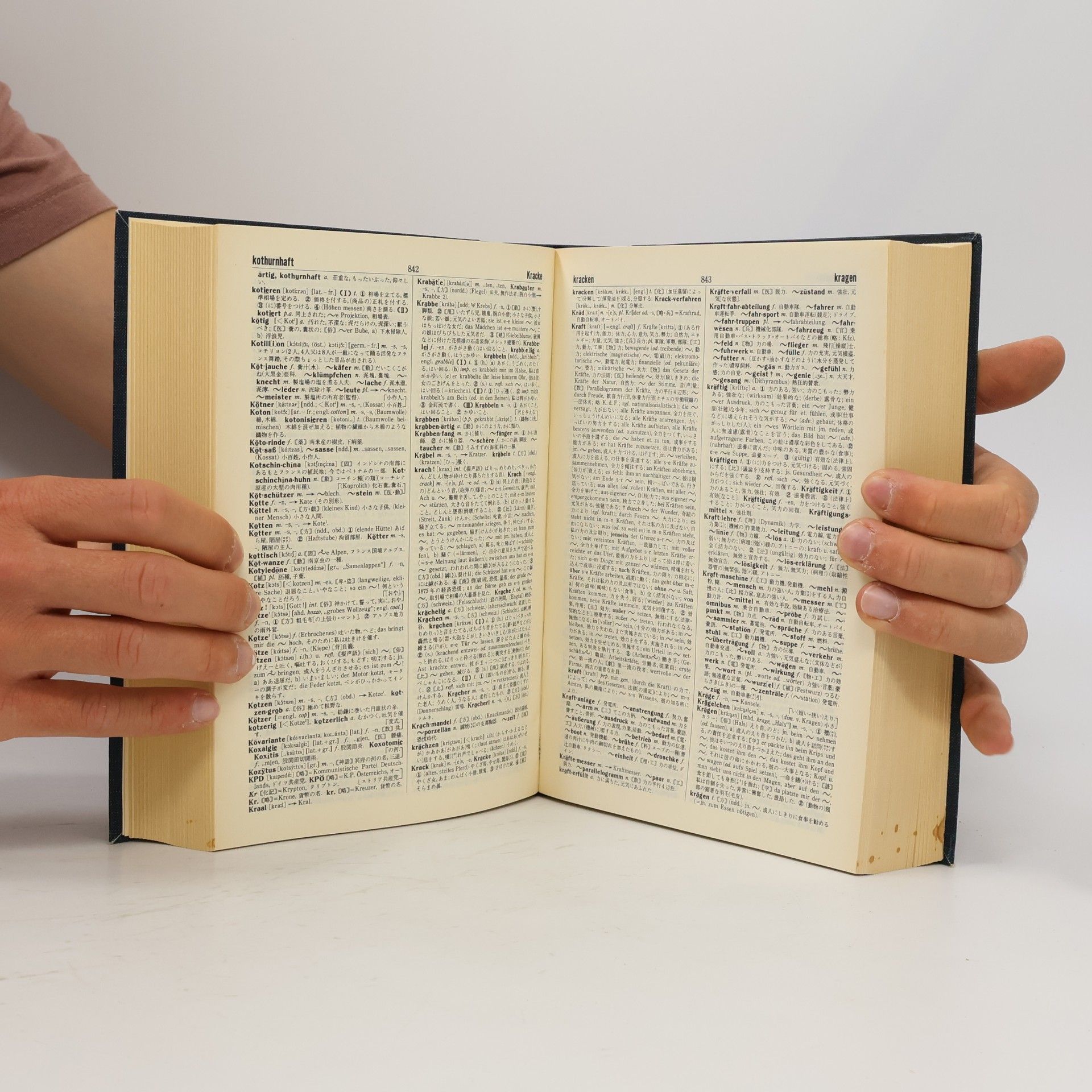 Autorenkollektiv Großes Deutsch-Japanisches Wörterbuch