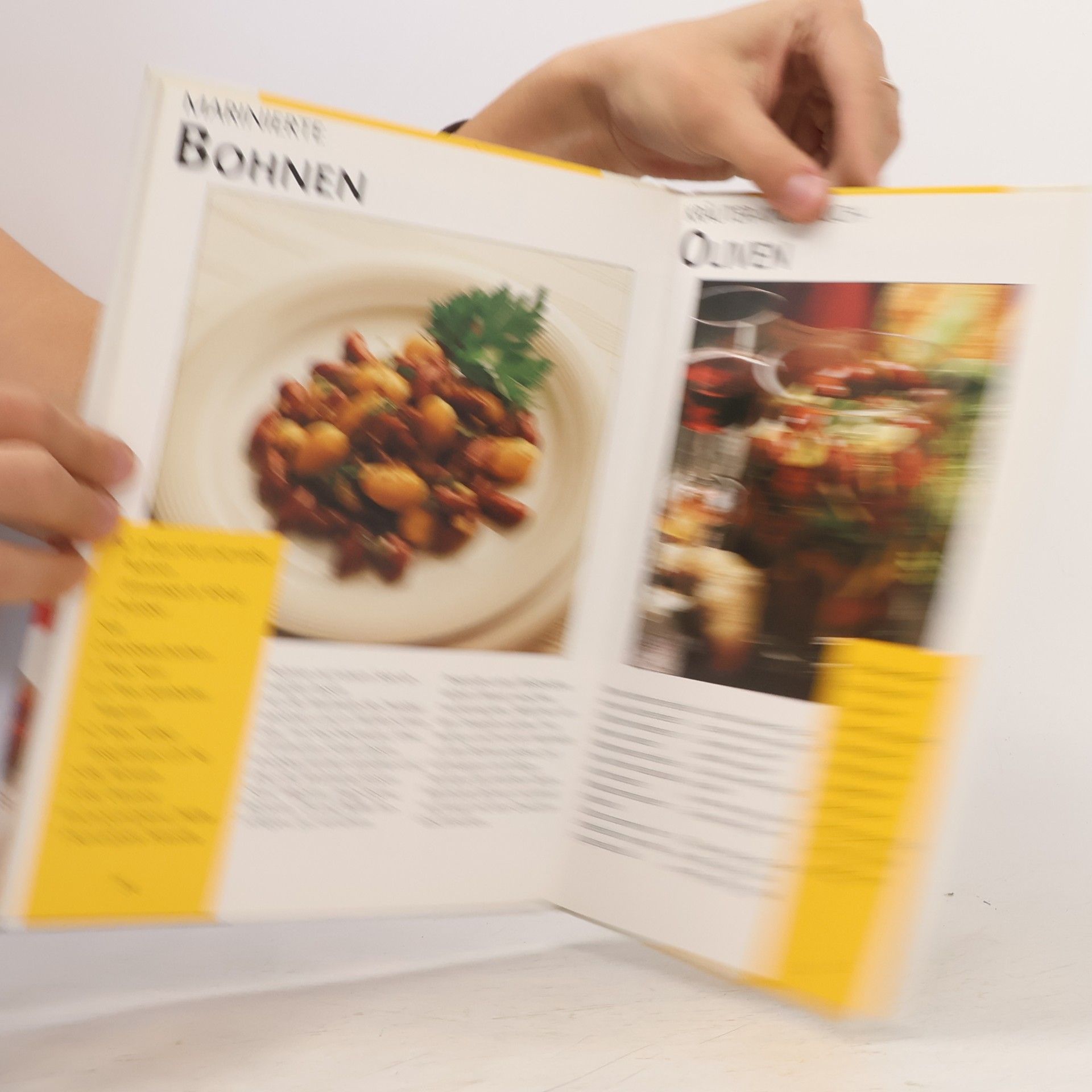 Kolektiv autorů Eingelegtes