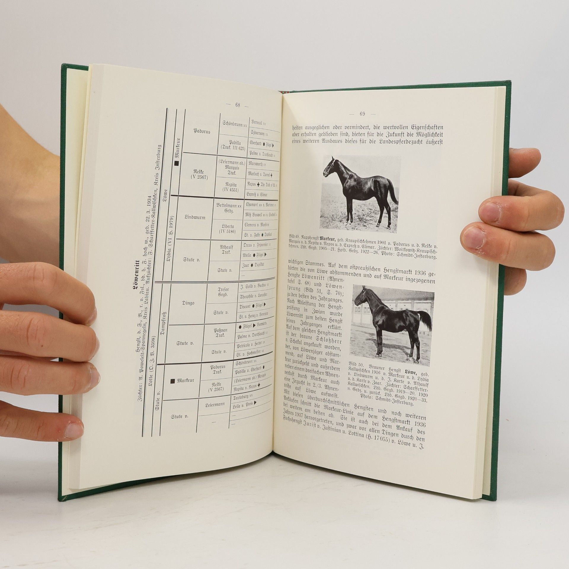 Fritz Schilke Das ostpreussische Warmblutpferd