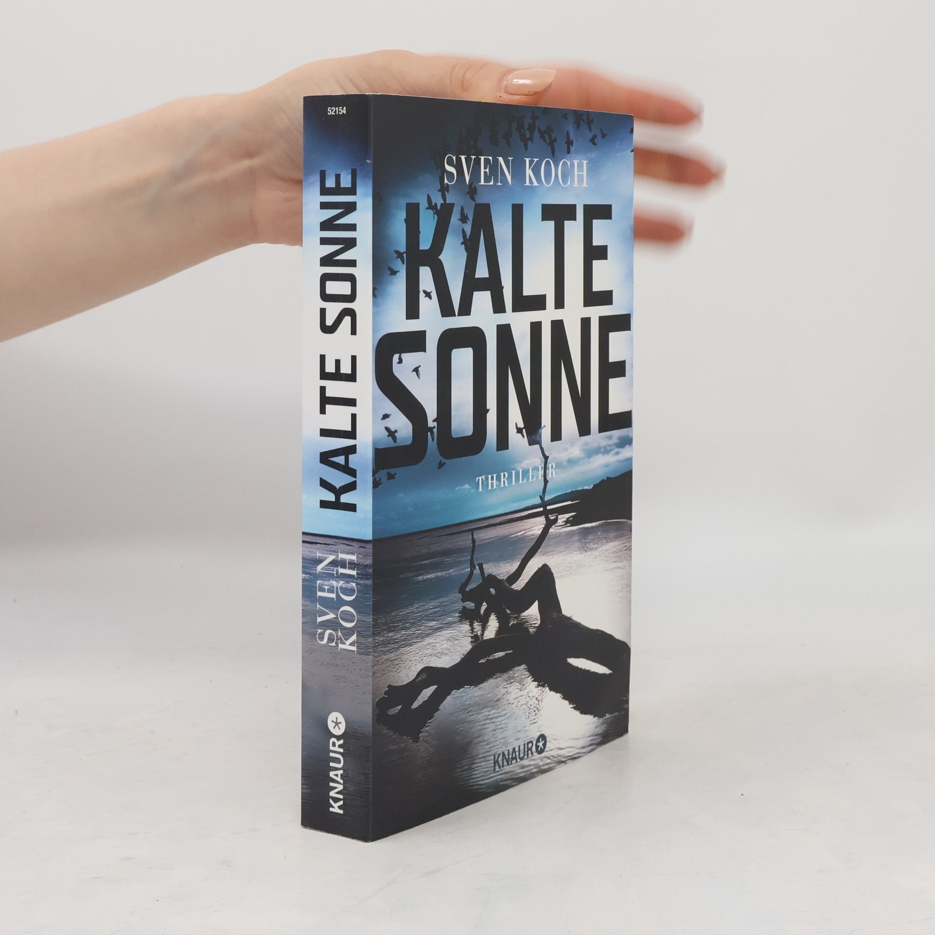Sven Koch Kalte Sonne