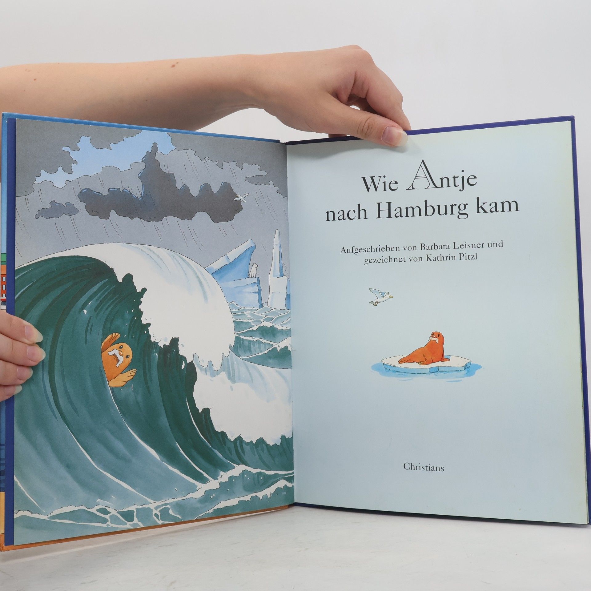 Barbara Leisner Wie Antje nach Hamburg kam