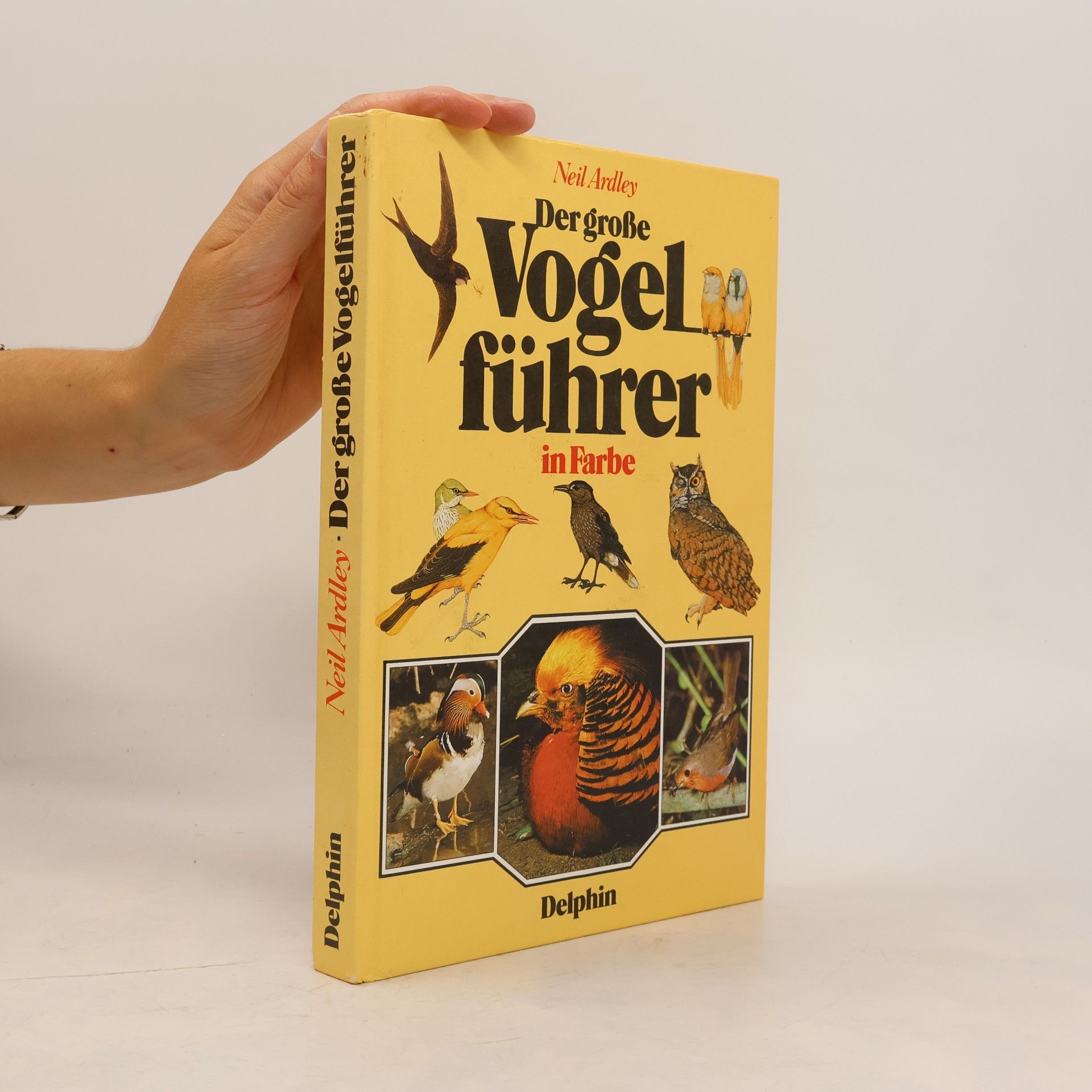 Neil Ardley Der große Vogelführer in Farbe
