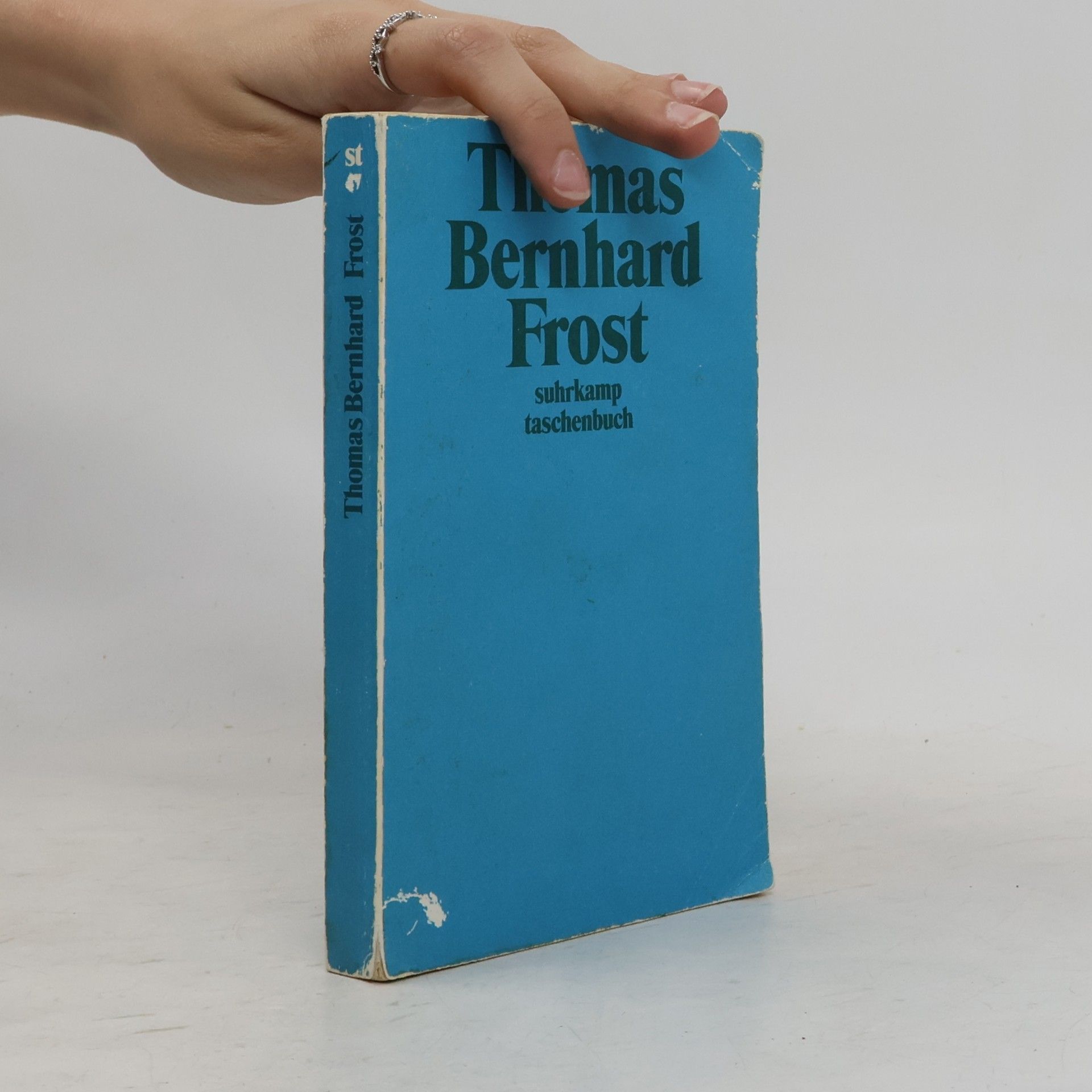 Thomas Bernhard Frost
