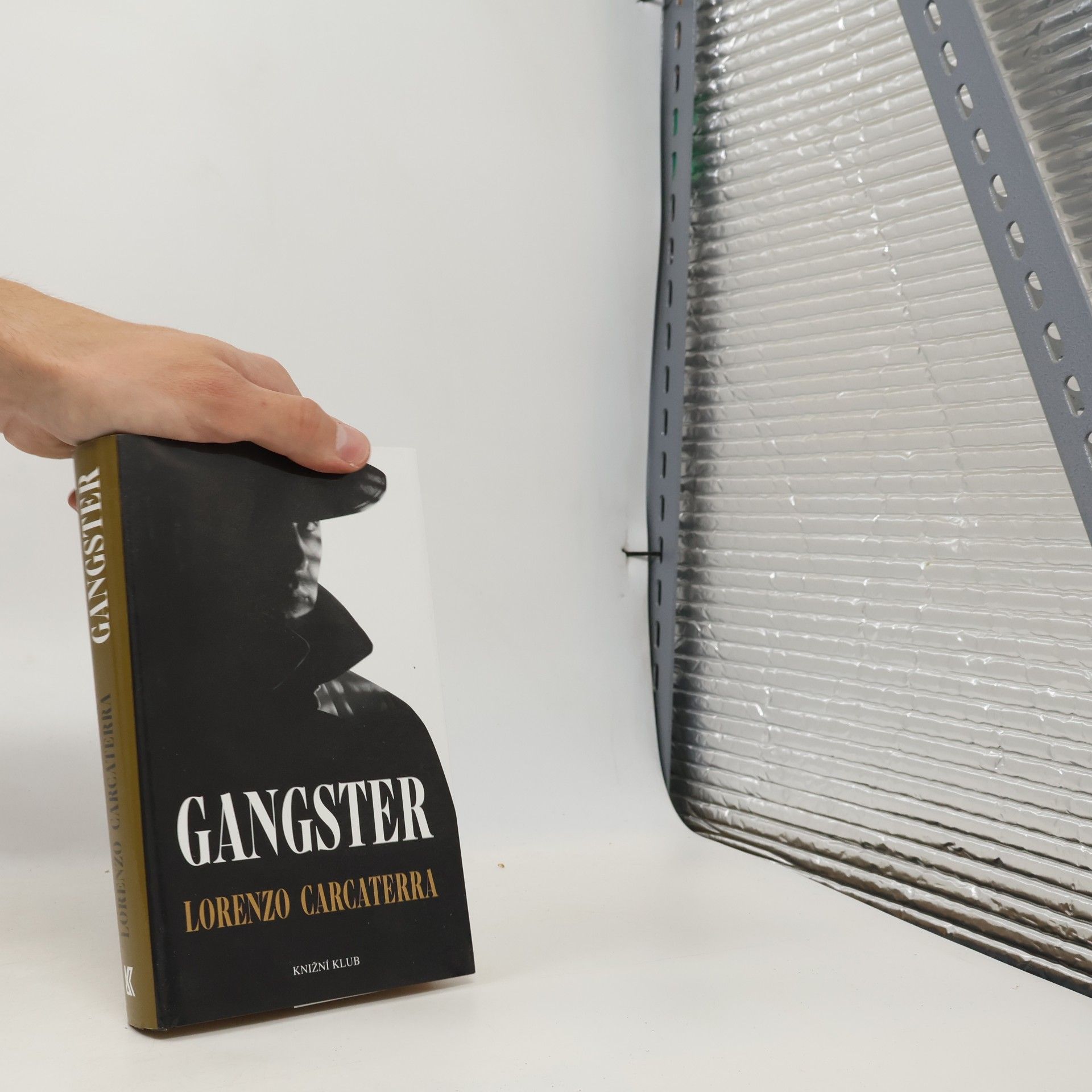 Lorenzo Carcaterra Gangster