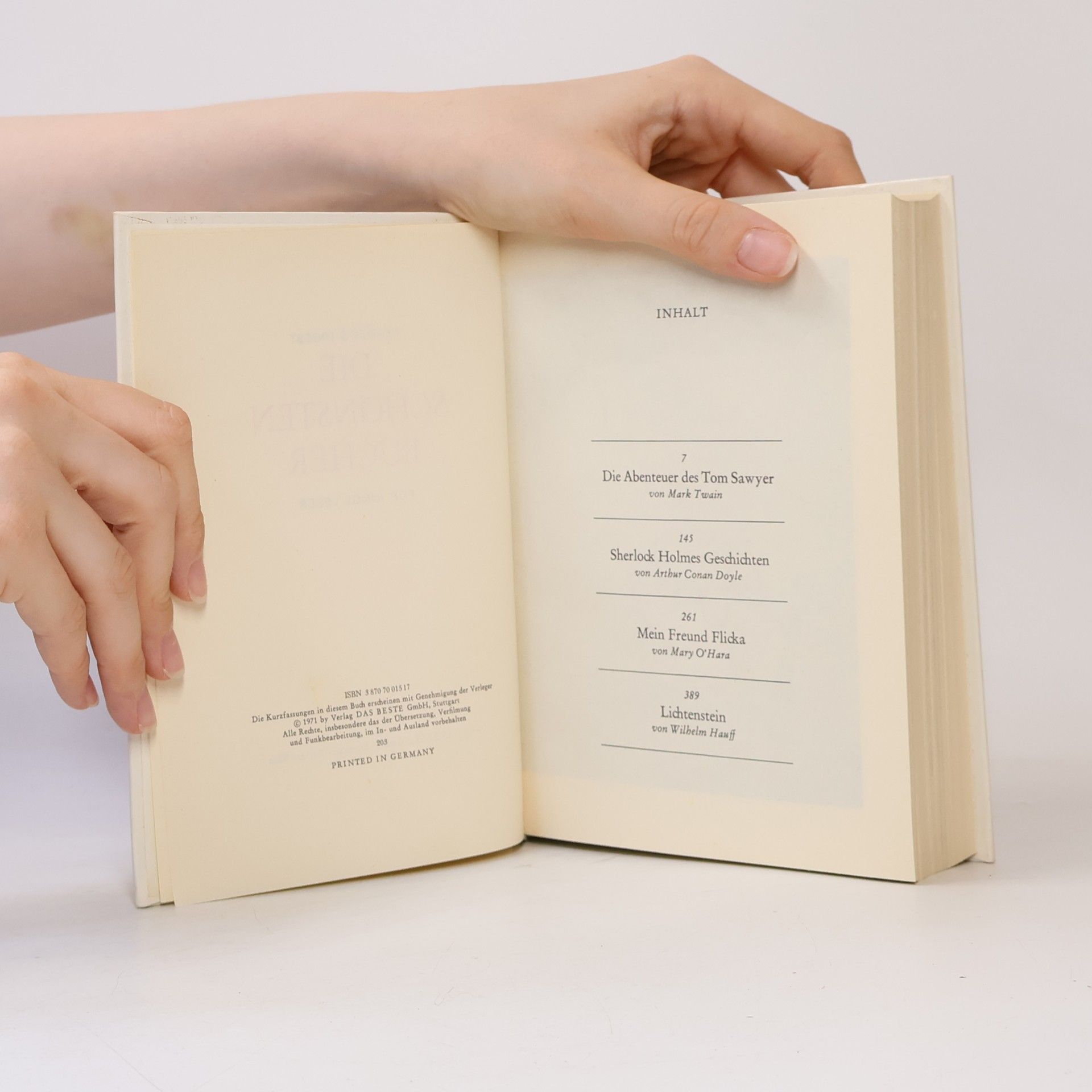 Mark Twain Die schönsten Bücher für junge Leser