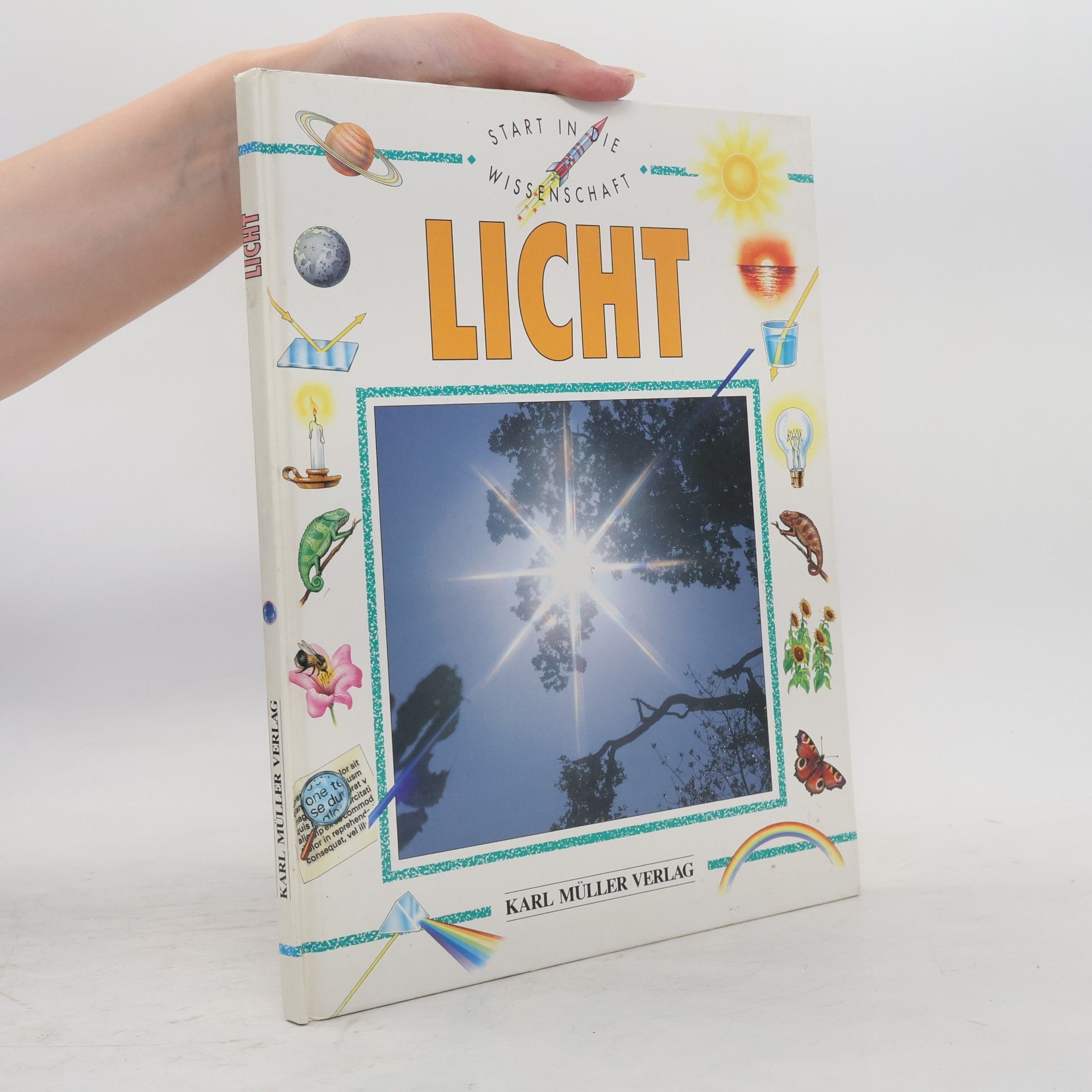 Kim Taylor Licht