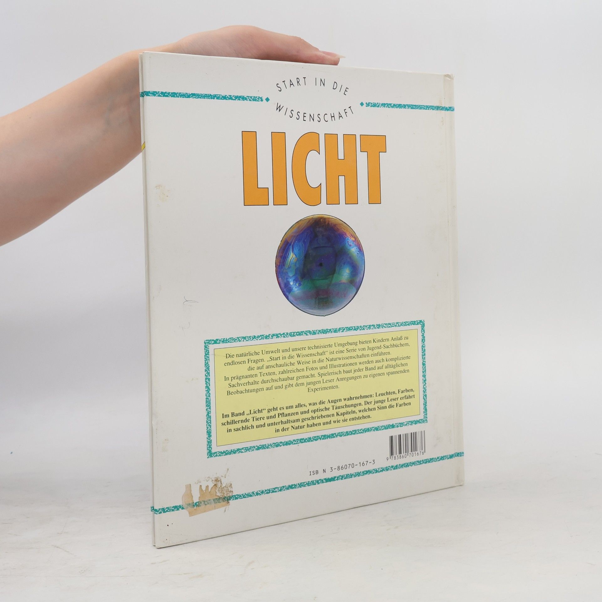 Kim Taylor Licht