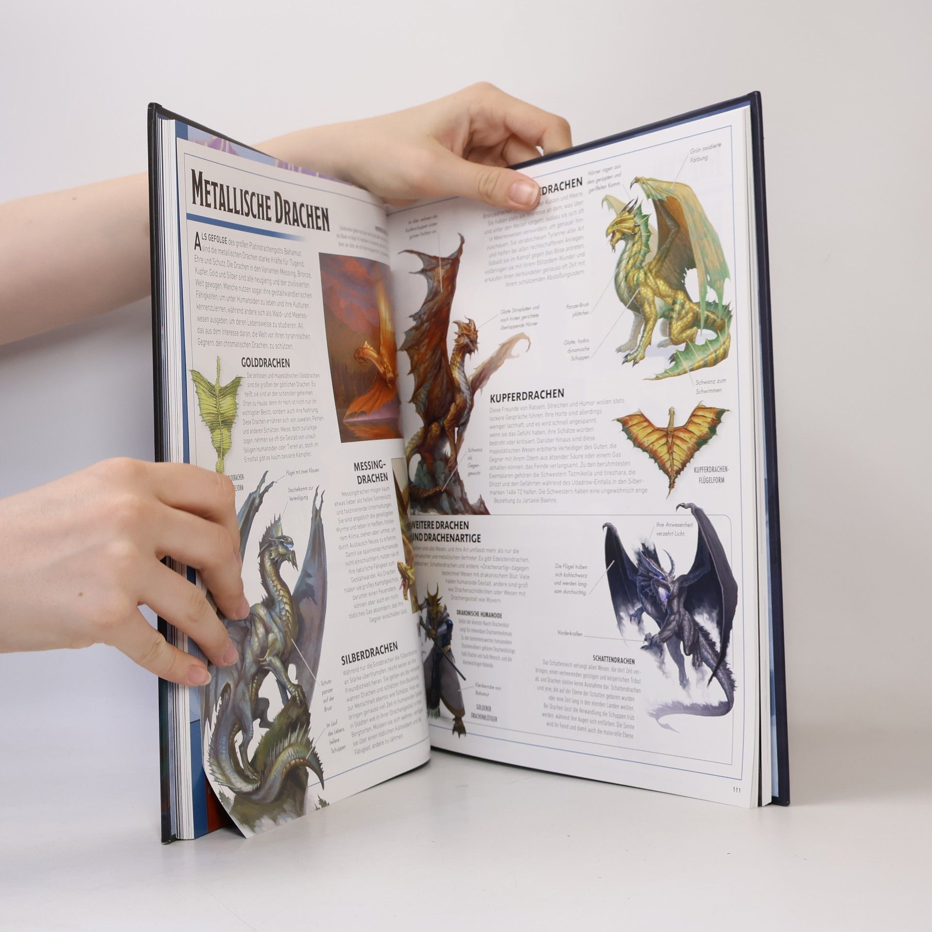 Michael Witwer Dungeons & Dragons Die Legende von Drizzt Die illustrierte Enzyklopädie