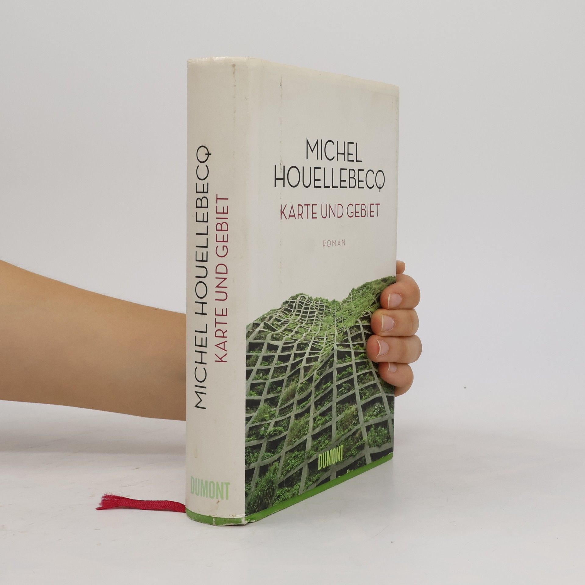 Michel Houellebecq Karte und Gebiet