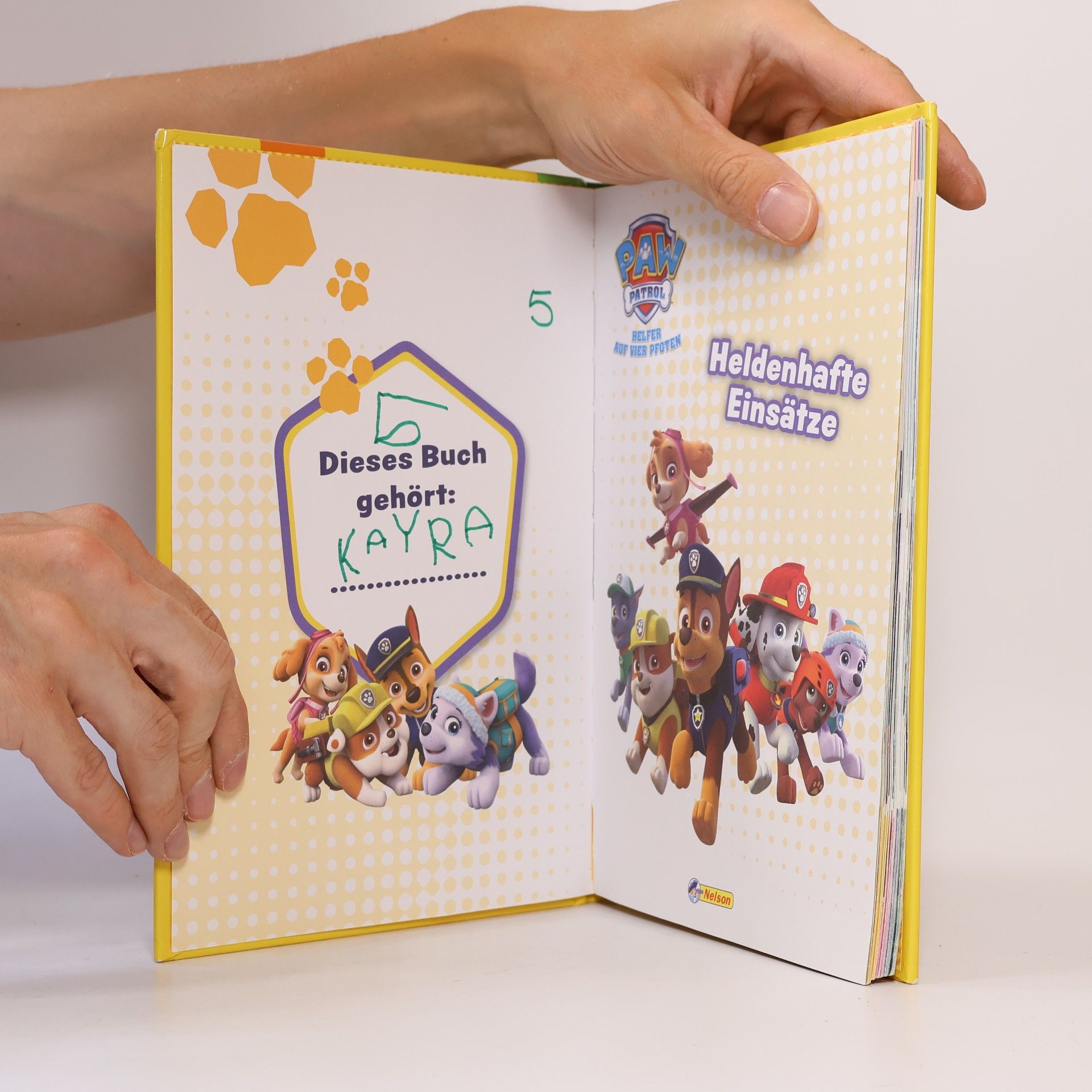 PAW Patrol, Helfer auf vier Pfoten - heldenhafte Einsätze