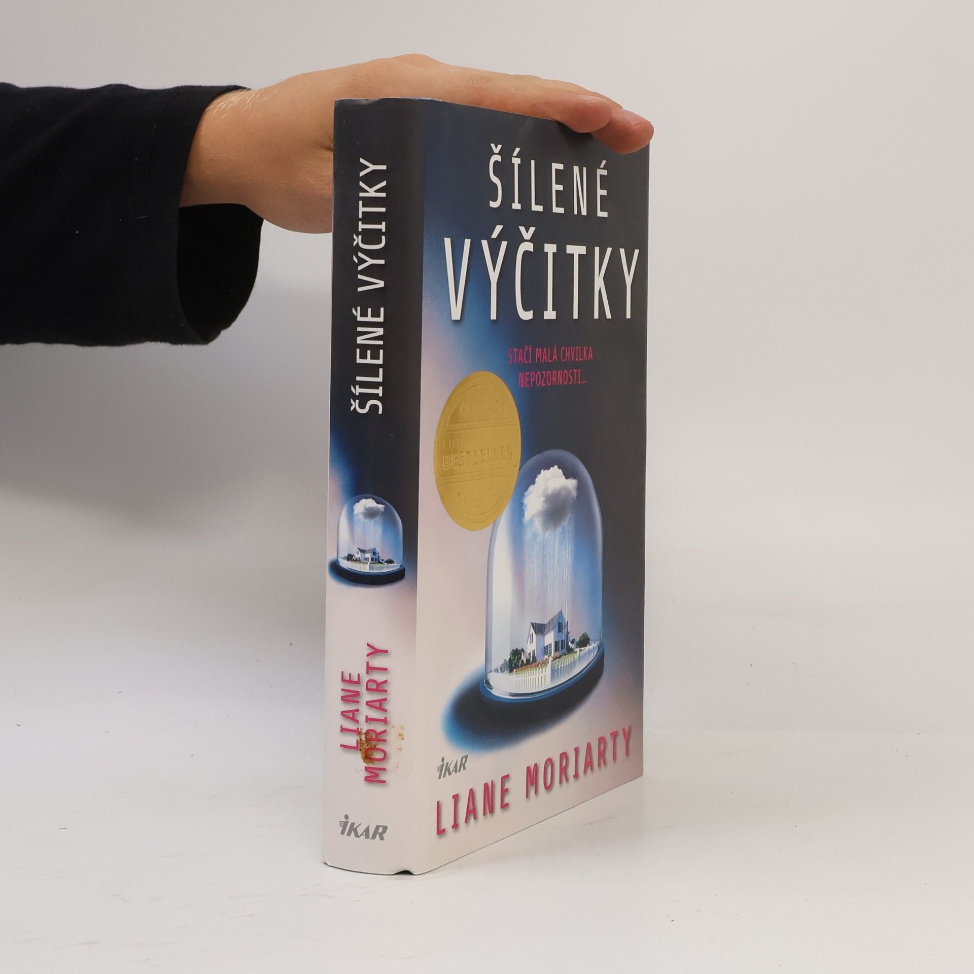 Liane Moriarty Šílené výčitky
