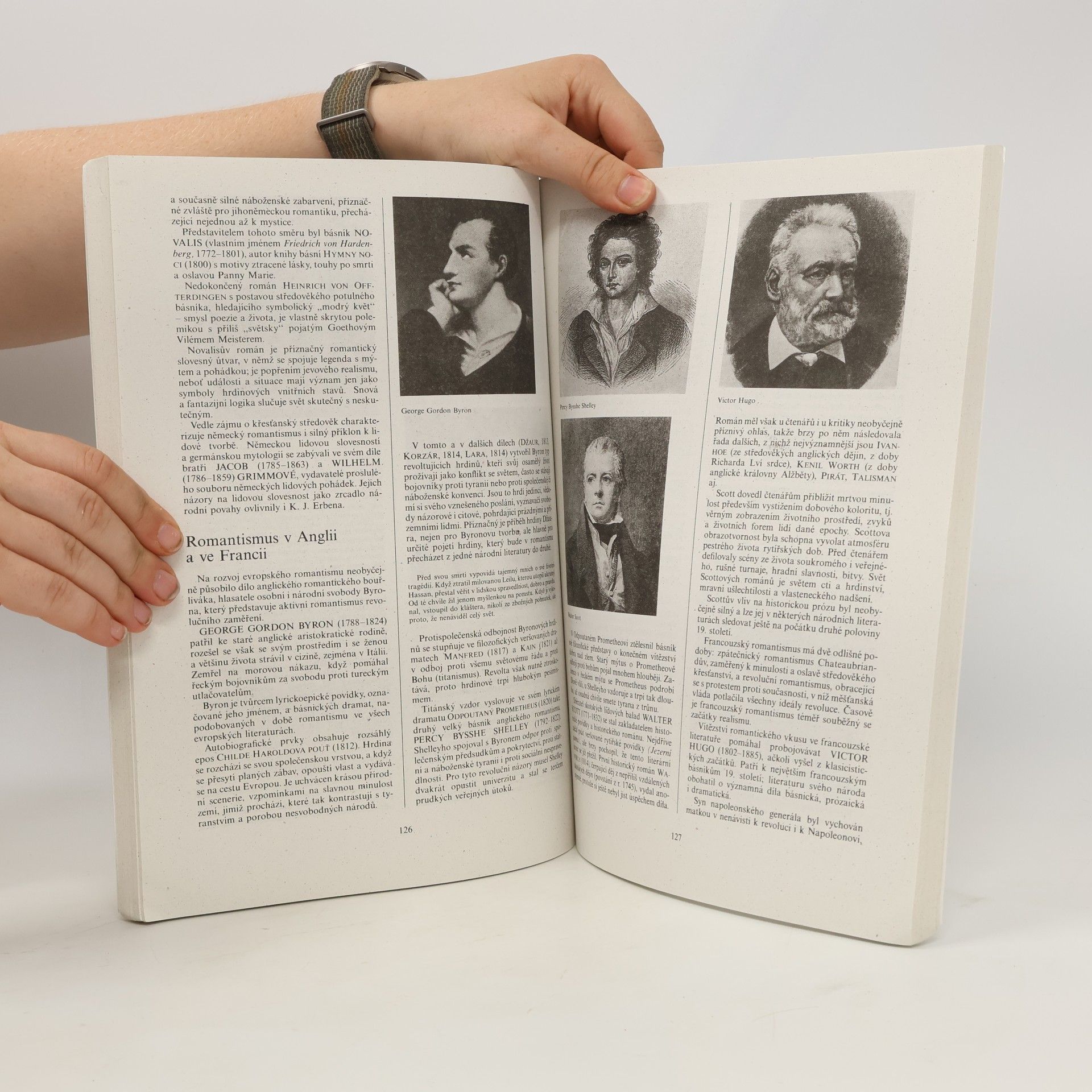 Bohuš Balajka Přehledné dějiny literatury I.