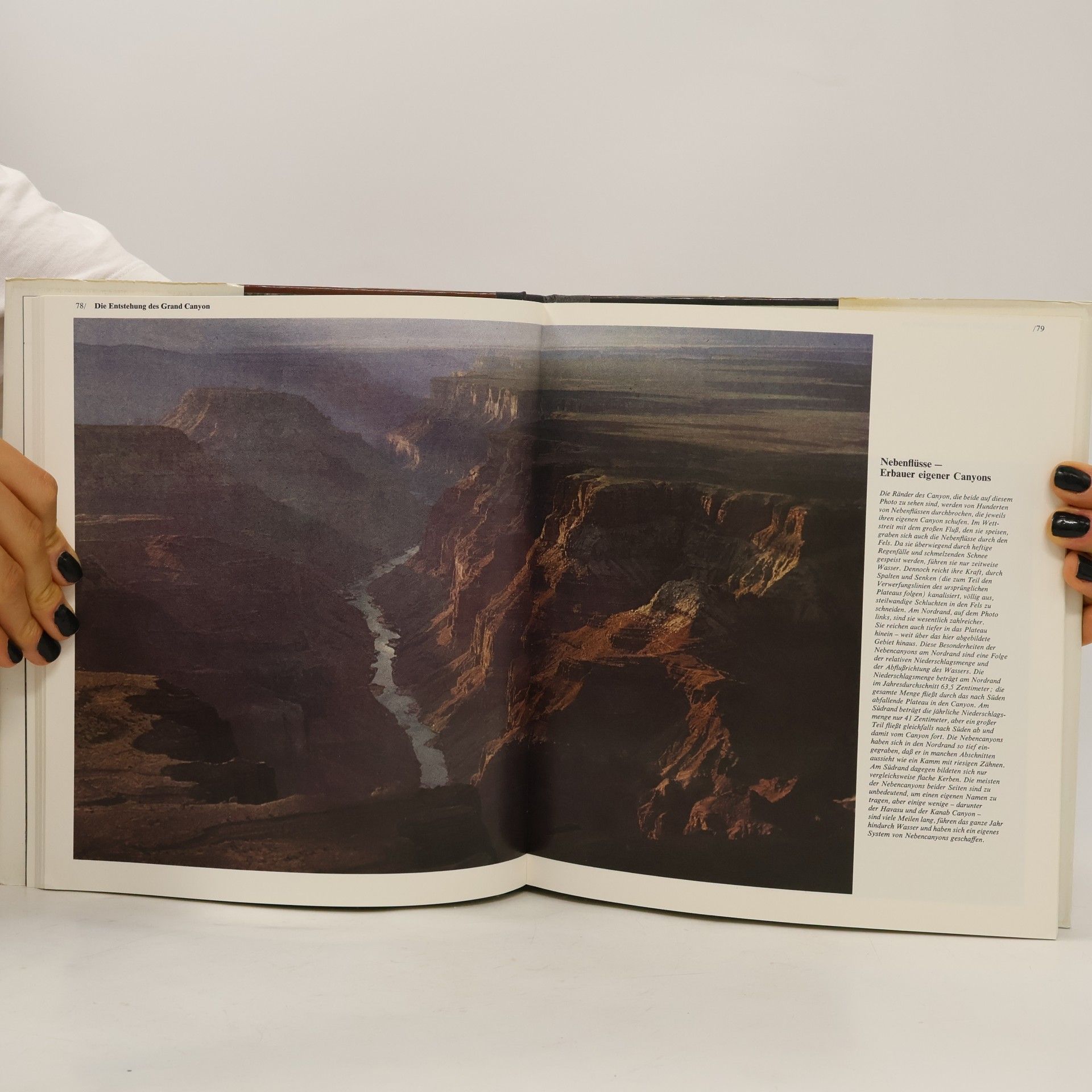 Robert Wallace Der Grand Canyon