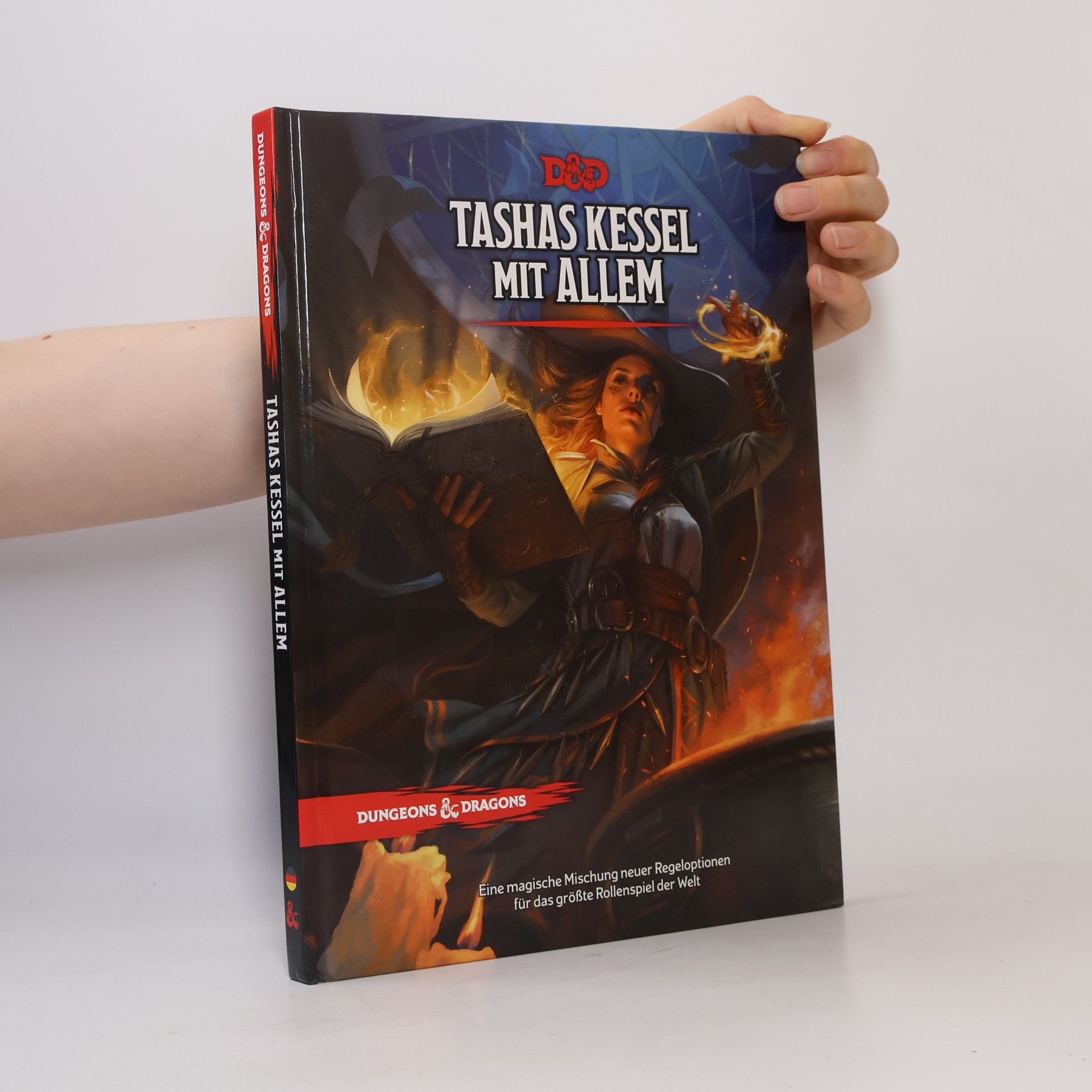 Kolektív autorov Tashas Kessel mit Allem