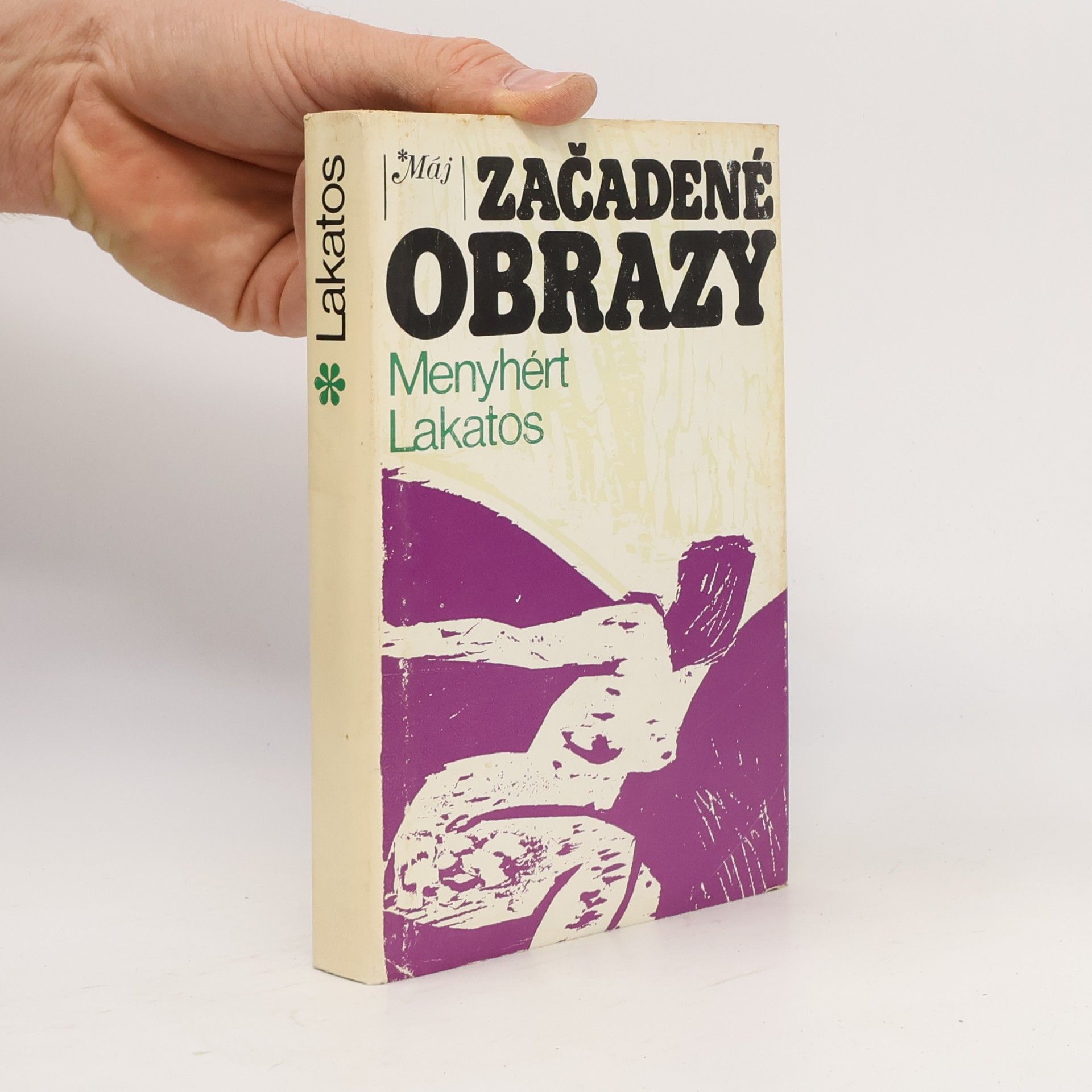 Začadené obrazy