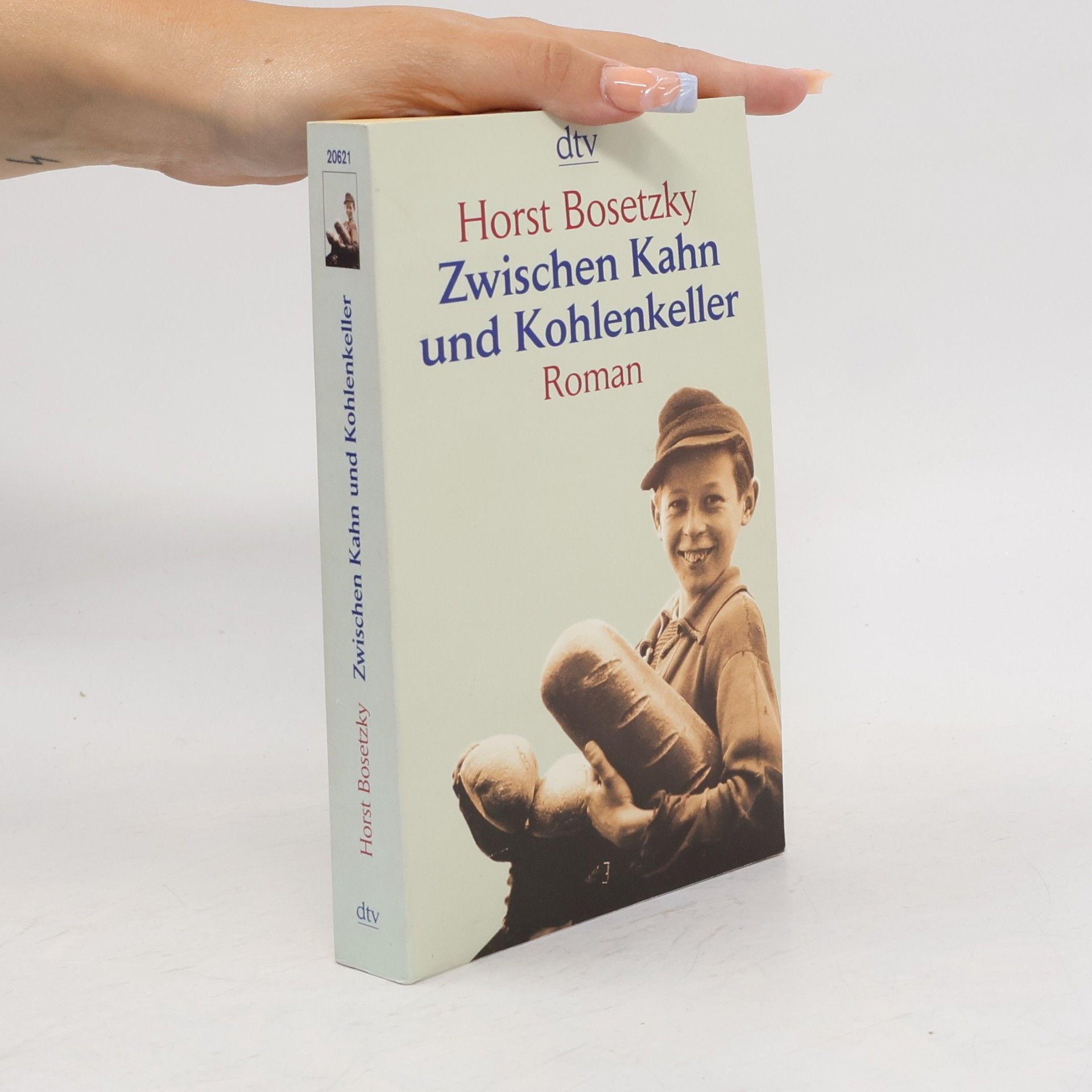 Horst Bosetzky Zwischen Kahn und Kohlenkeller