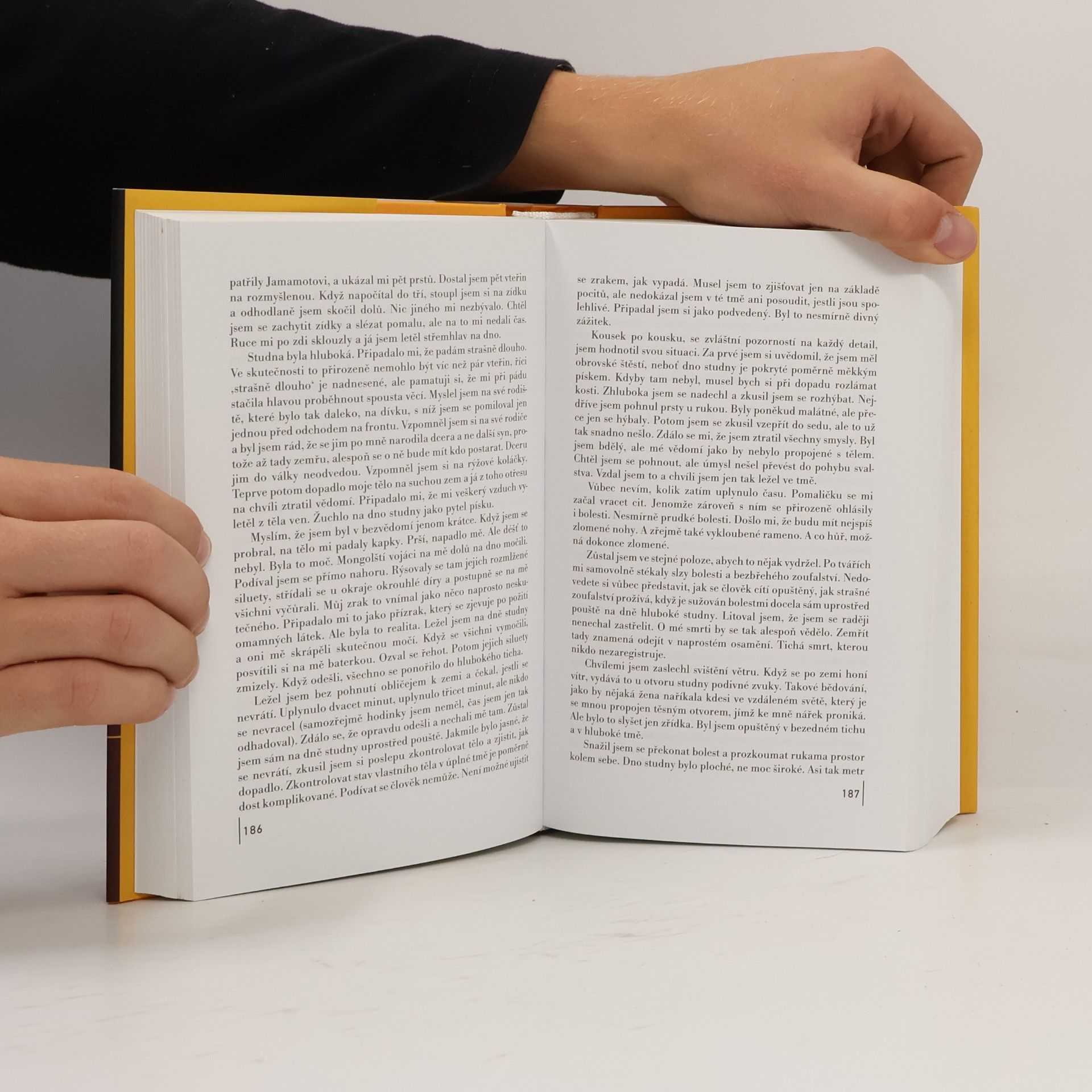 Haruki Murakami Kronika ptáčka na klíček