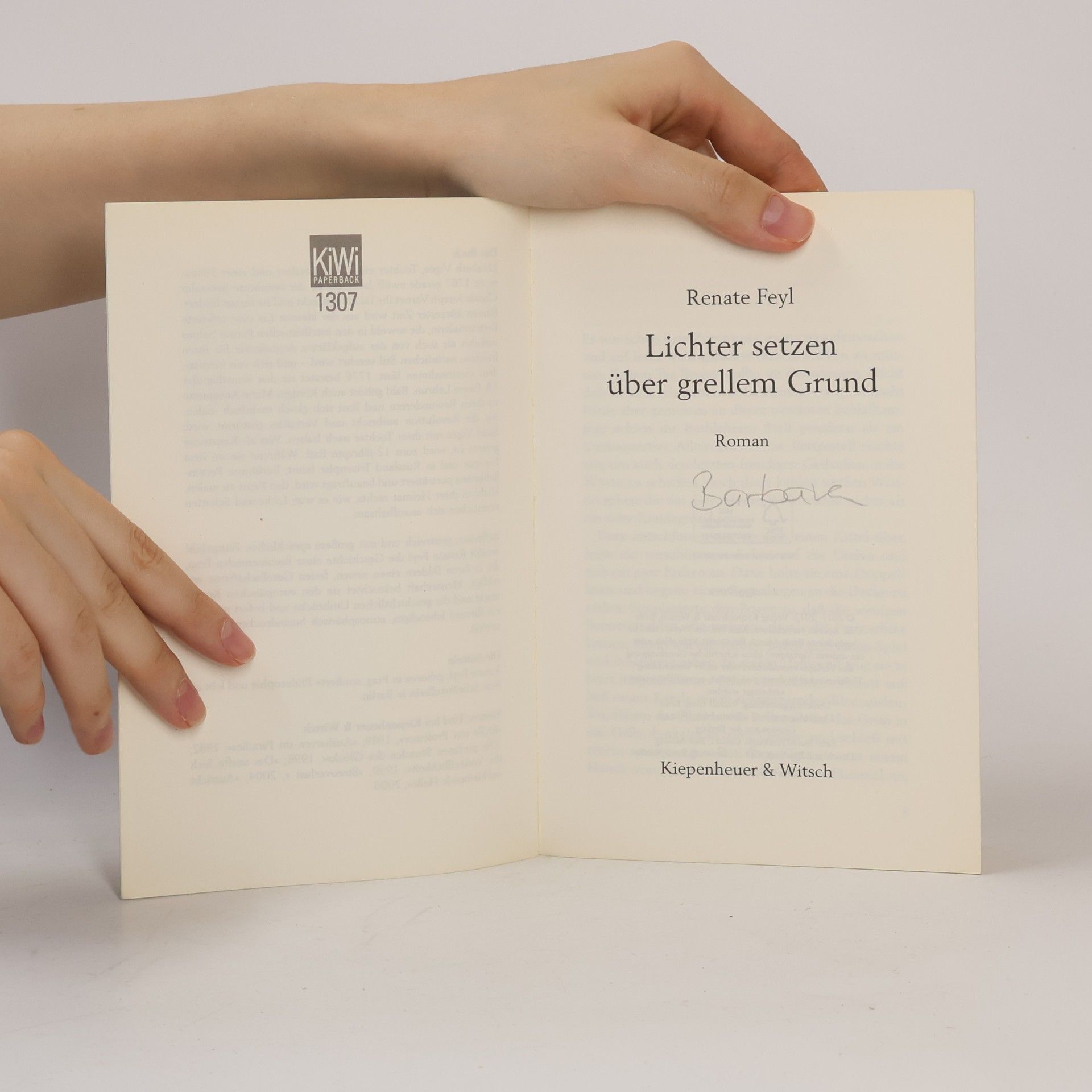 Renate Feyl Lichter setzen über grellem Grund