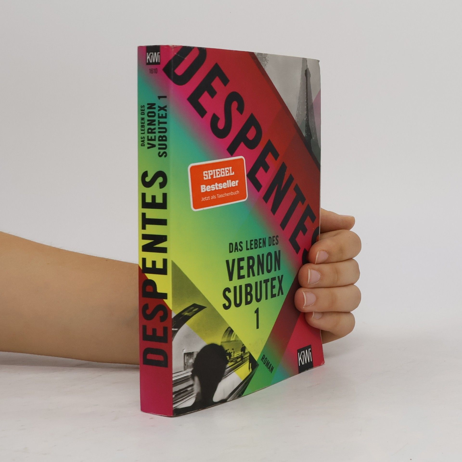 Virginie Despentes Das Leben des Vernon Subutex 1