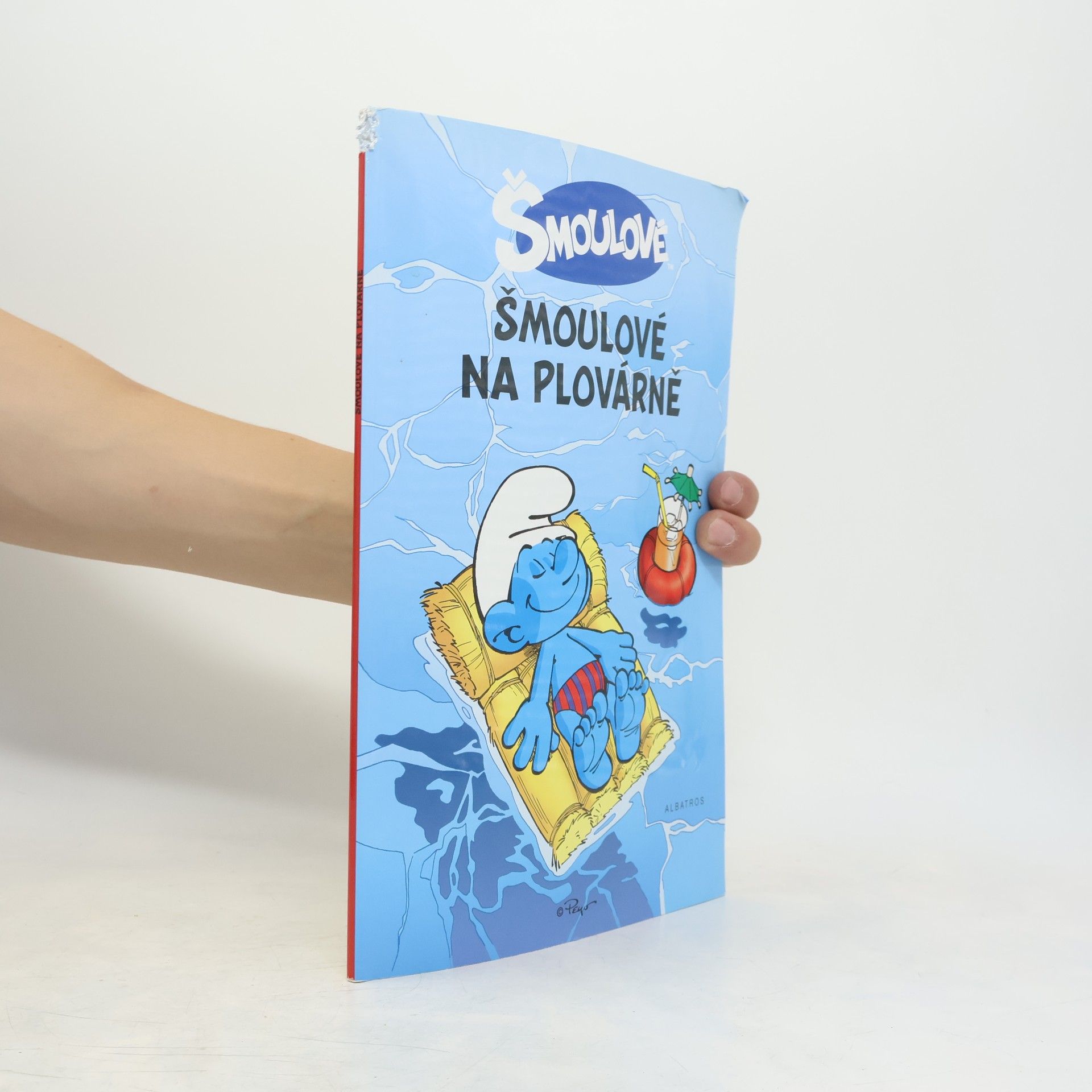 Pascal Garray Šmoulové na plovárně