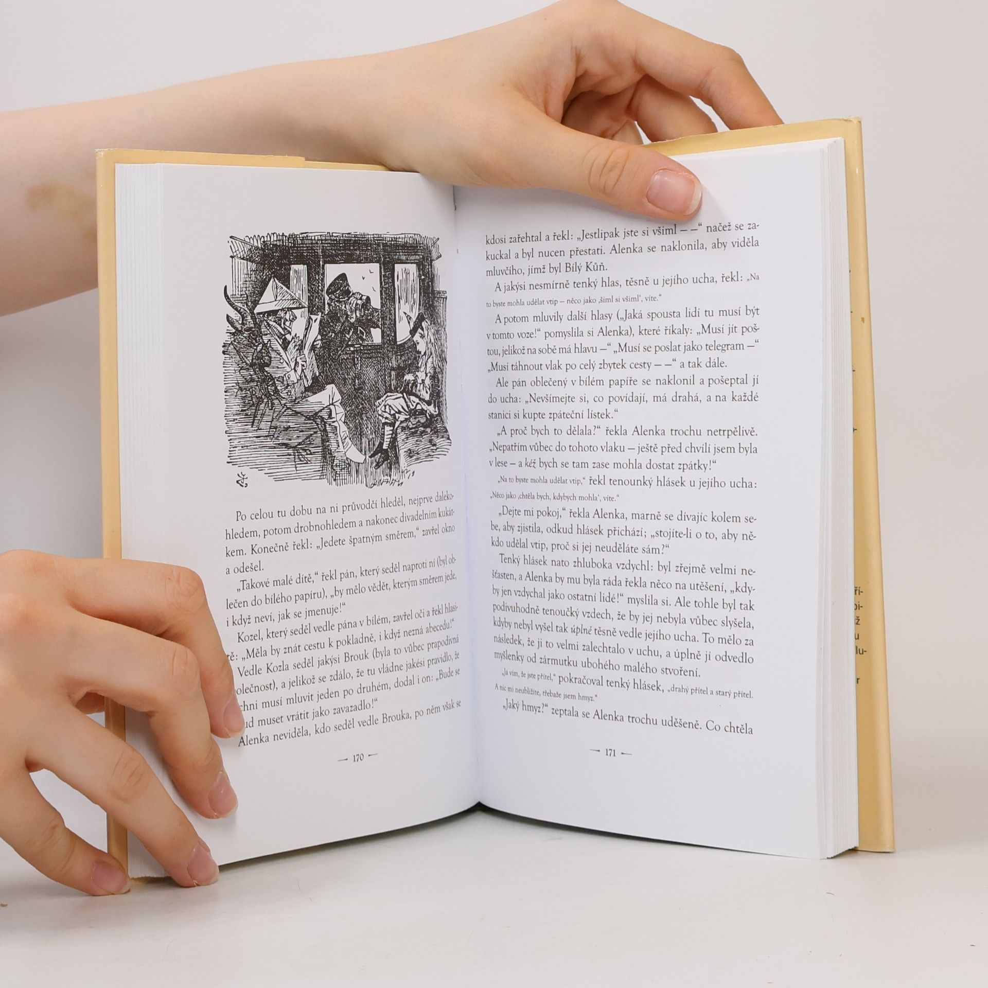 Lewis Carroll Alenčina dobrodružství v říši divů a za zrcadlem